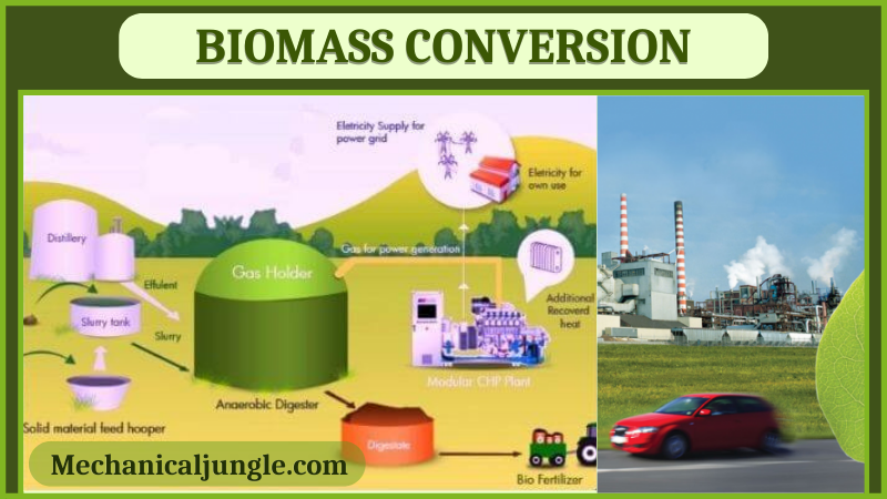 Biomass Conversion