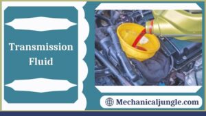 Transmission Fluid