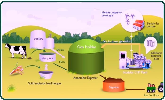 What Is Biomass.