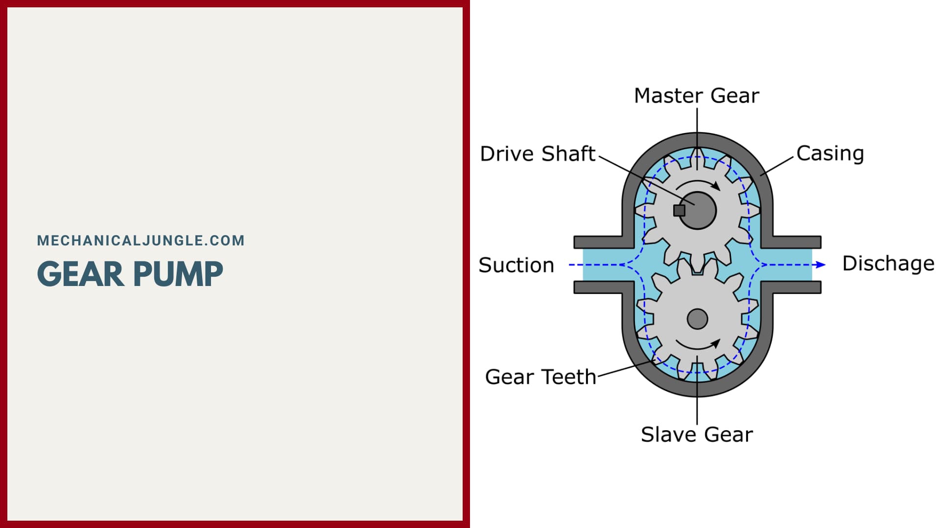 Gear Pump