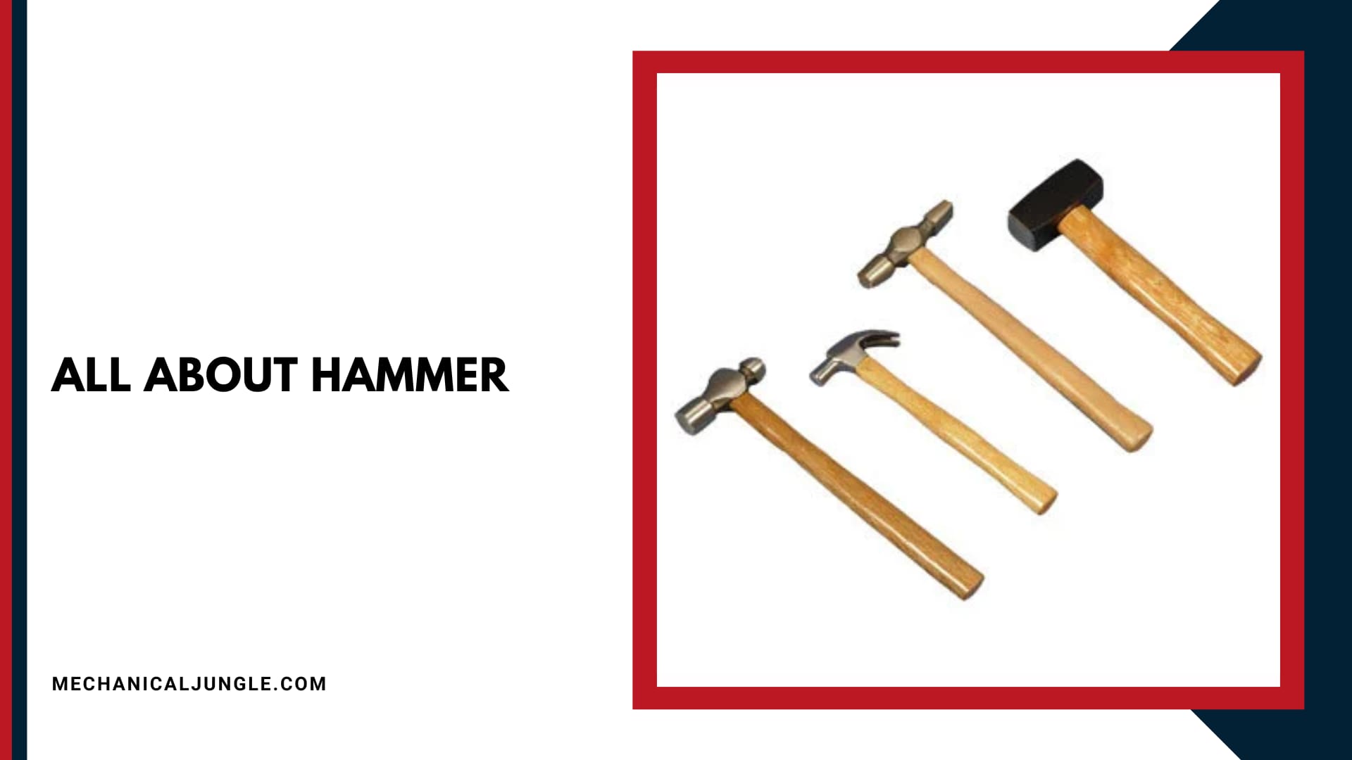 All About Hammer 