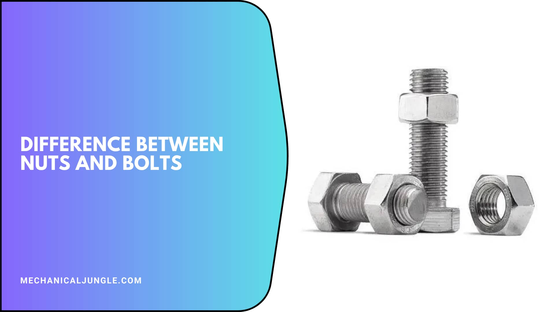 Difference Between Nuts and Bolts