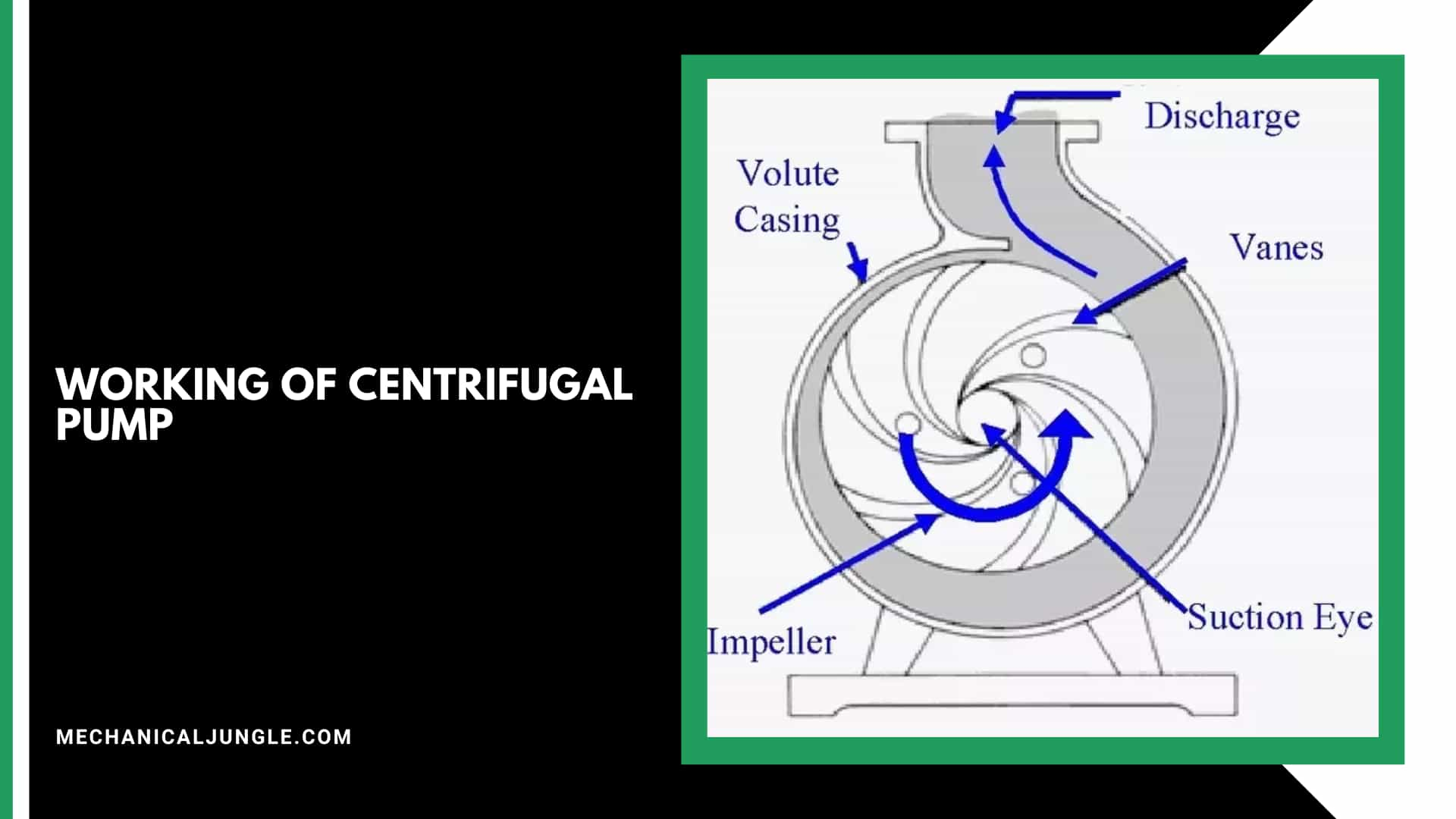 Working of Centrifugal Pump