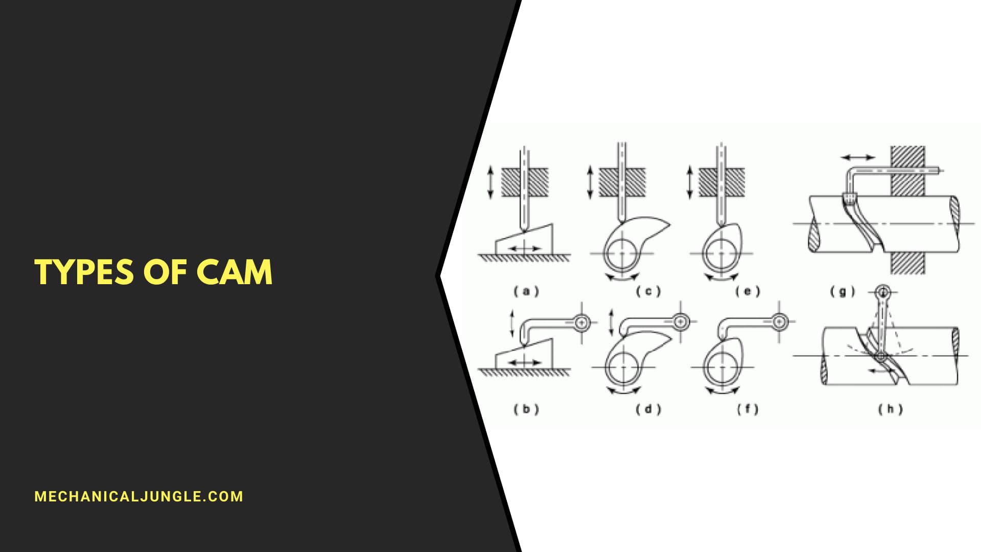 Types of Cam