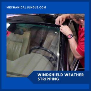 Windshield Weather Stripping