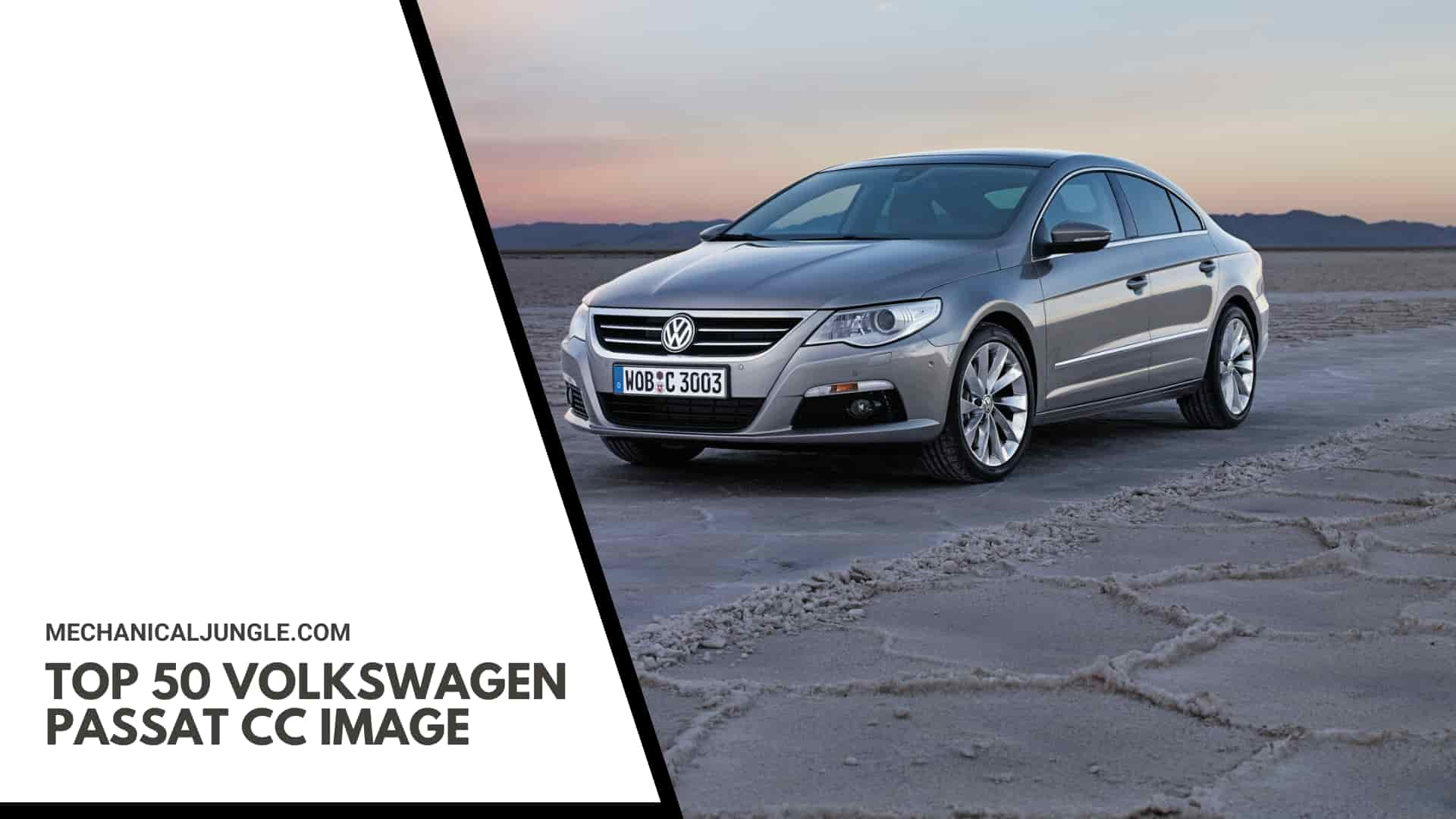 Top 50 Volkswagen Passat CC Image