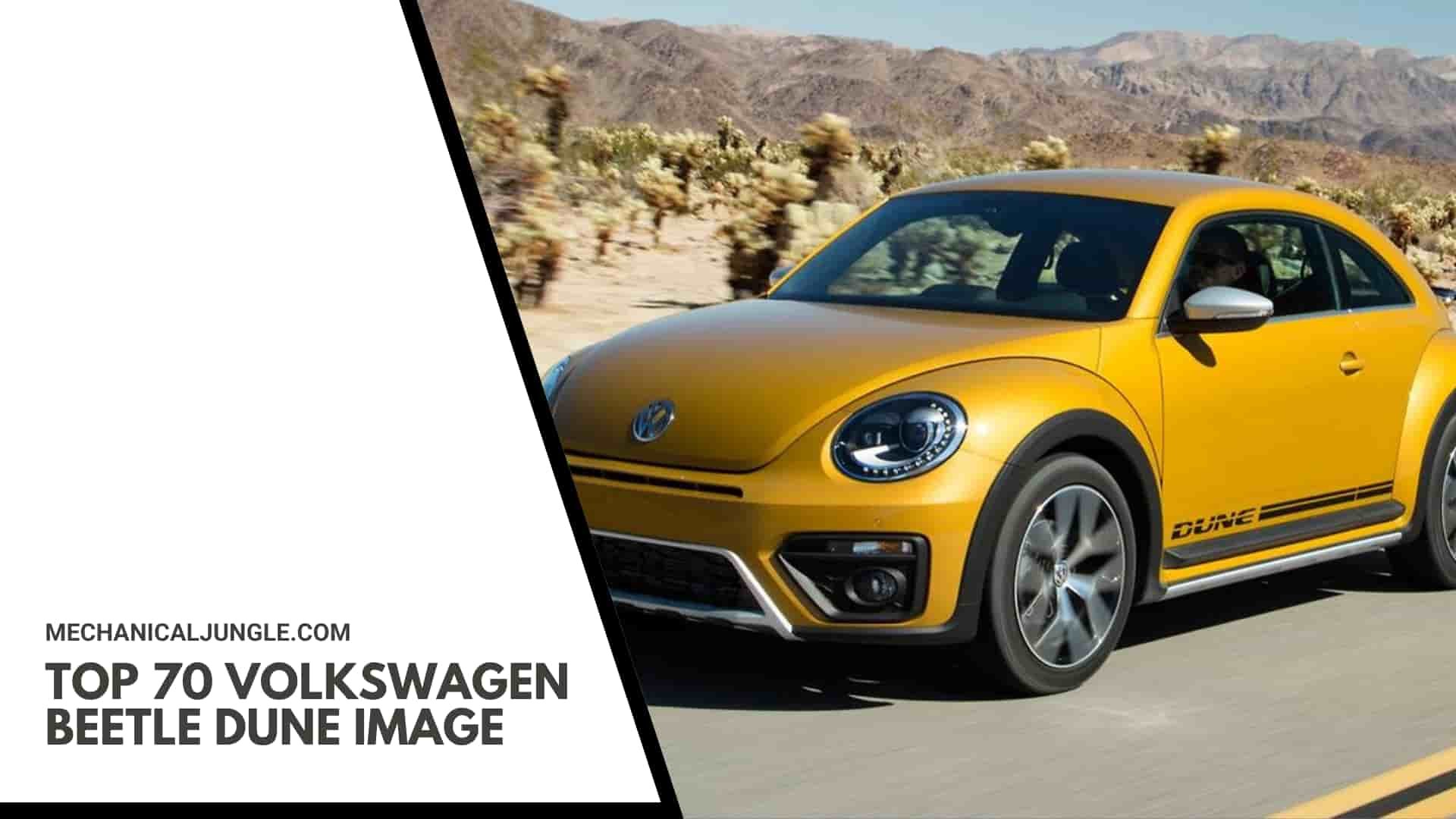 Top 70 Volkswagen Beetle Dune Image