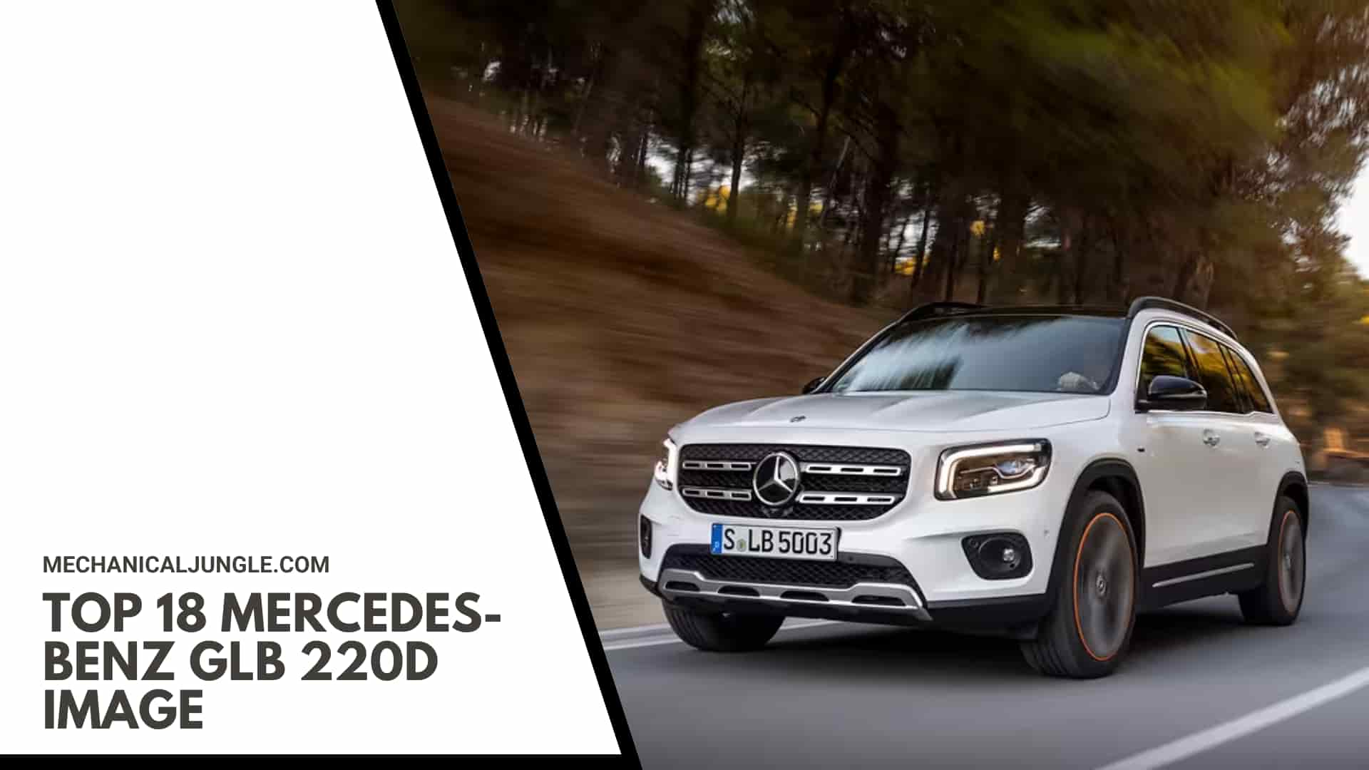 Top 18 Mercedes-Benz GLB 220d Image