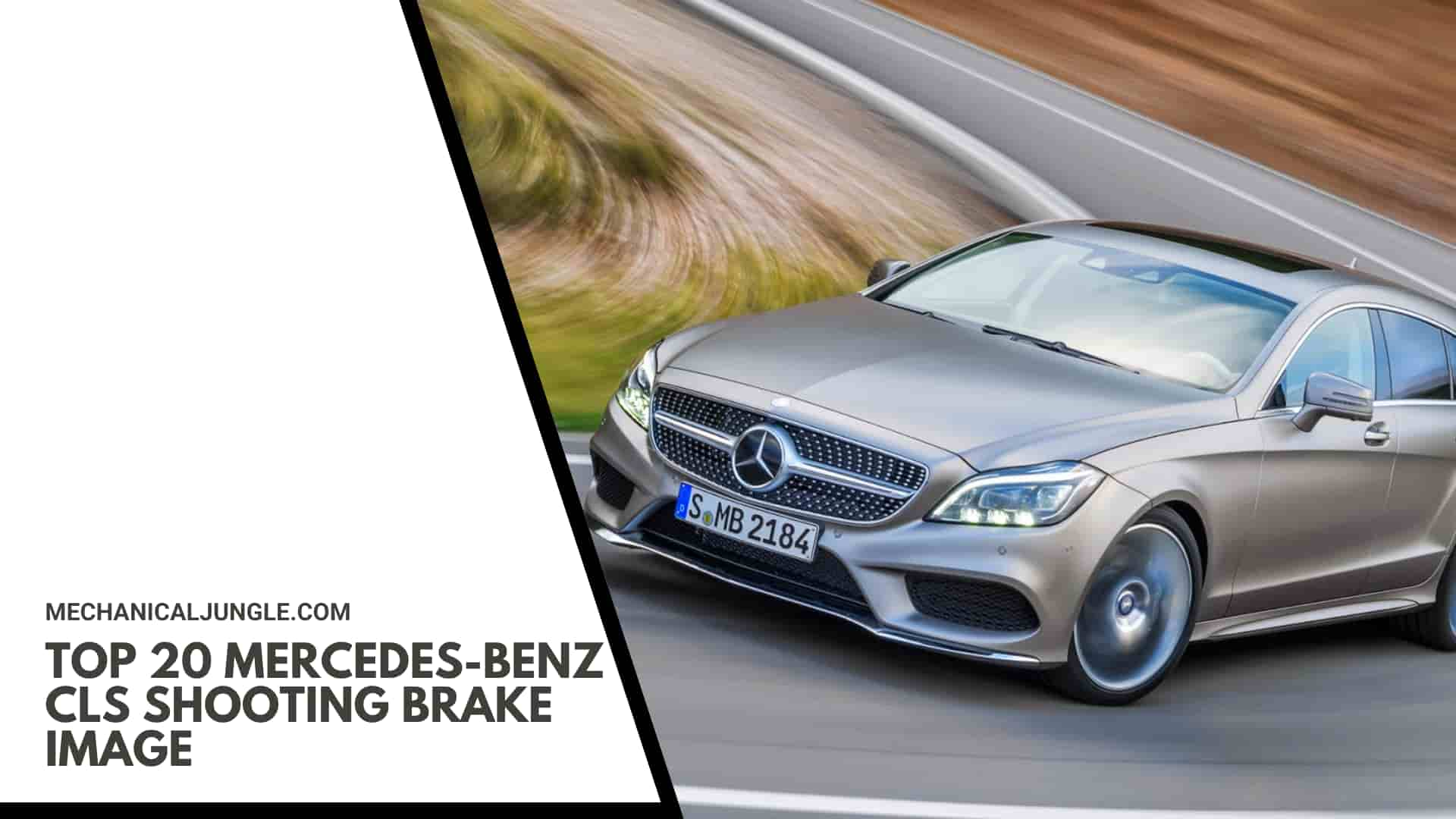 Top 20 Mercedes-Benz CLS Shooting Brake Image