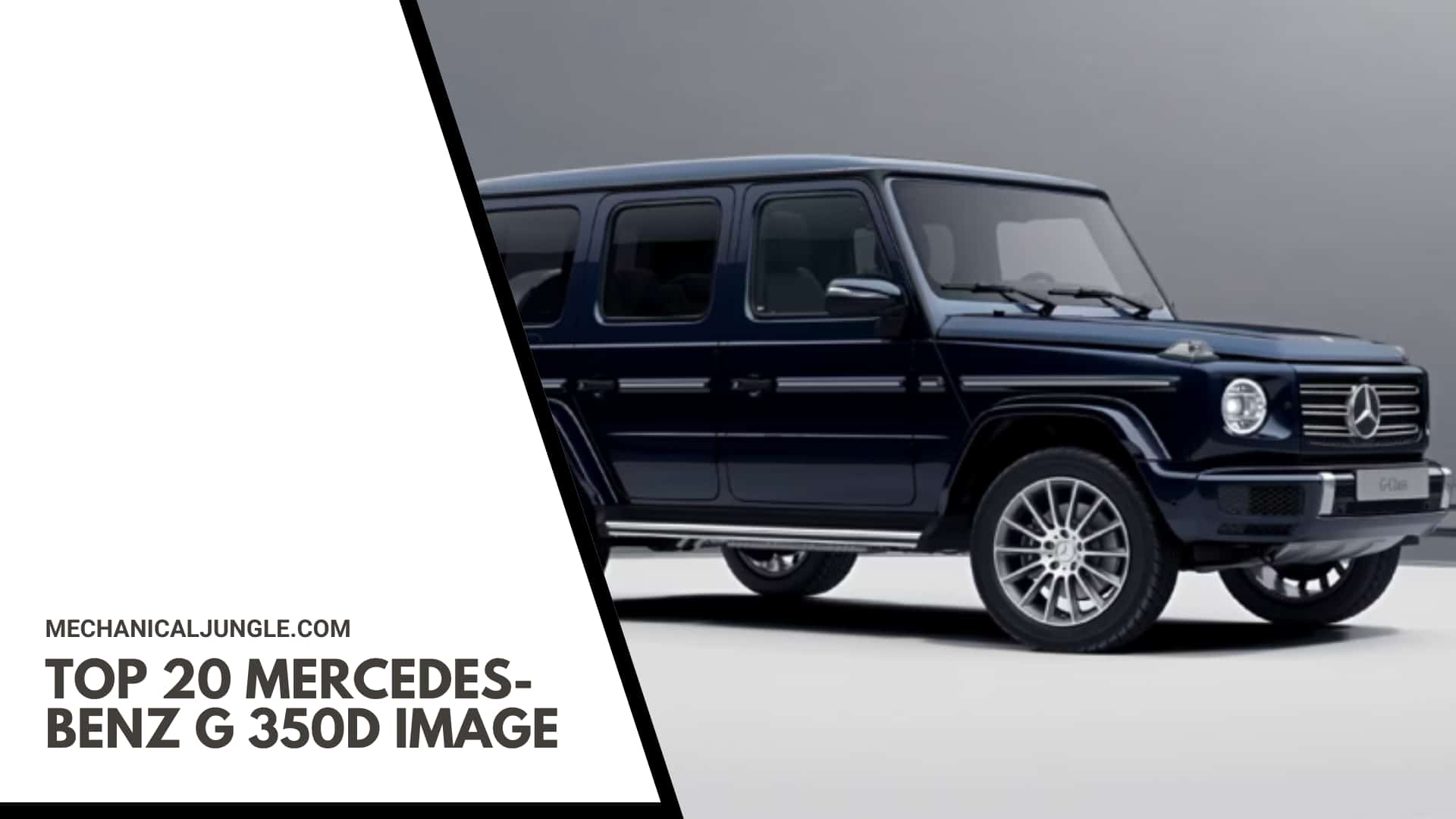 Top 20 Mercedes-Benz G 350d Image