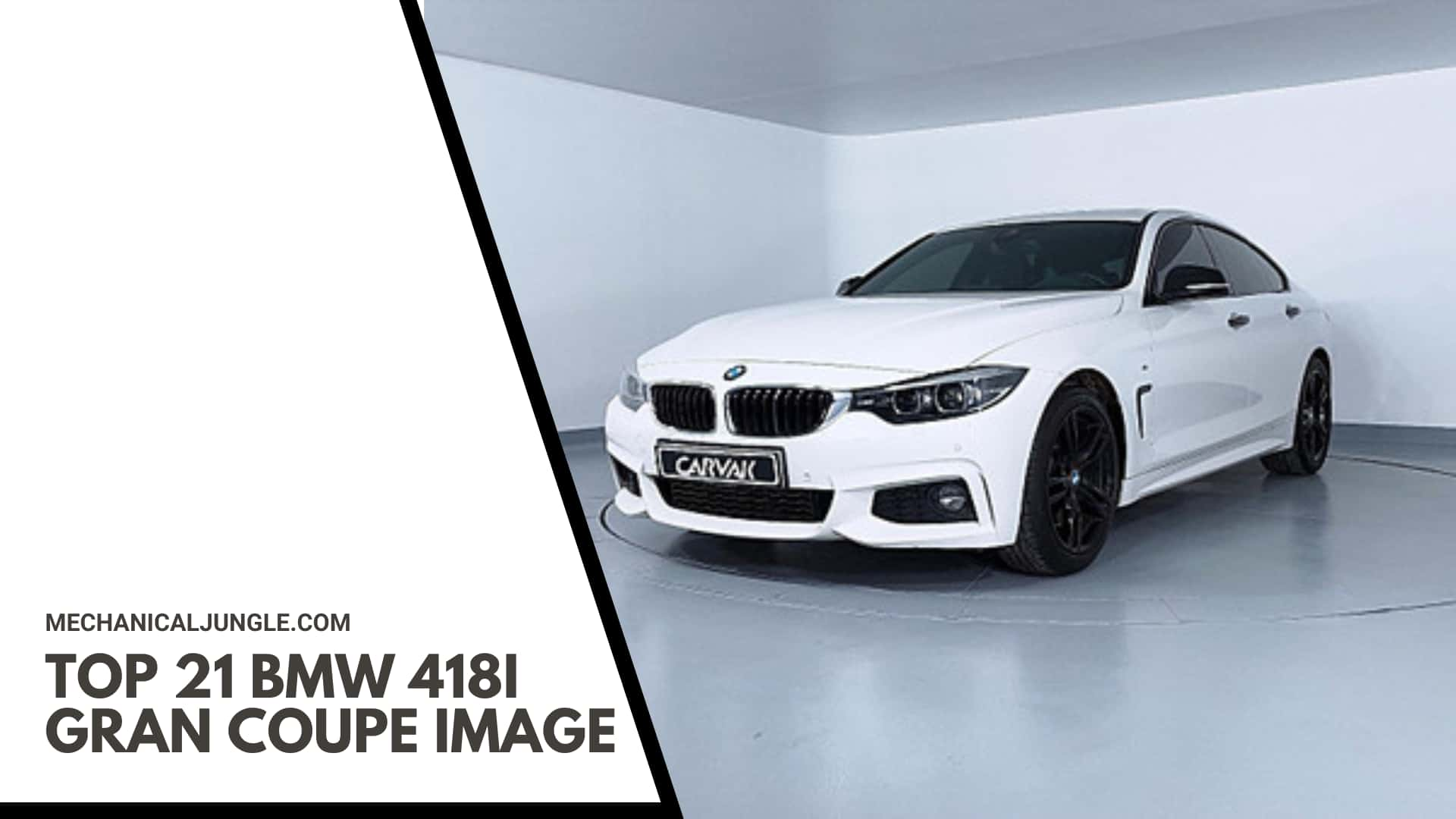 Top 21 BMW 418i Gran Coupe Image