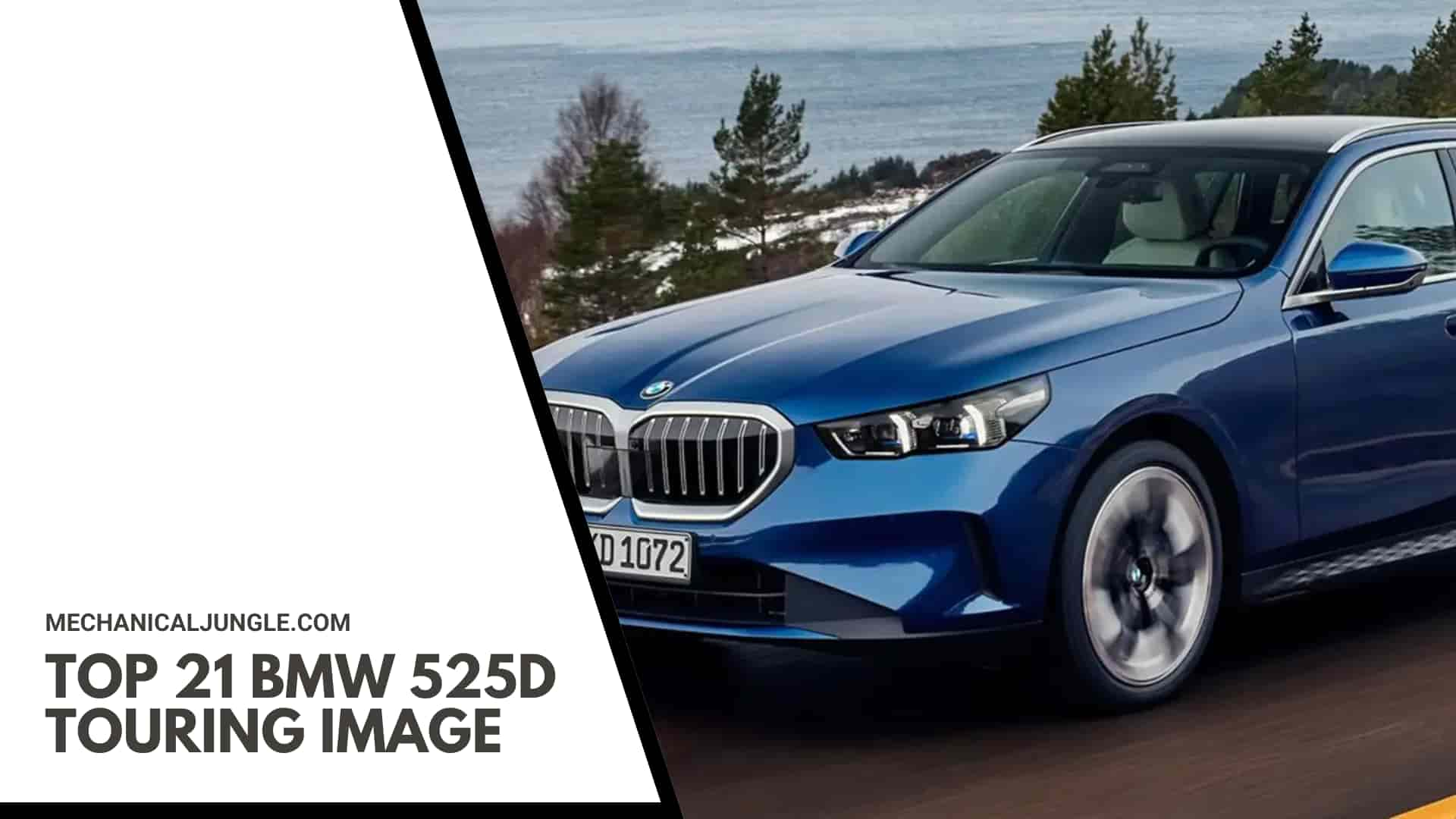 Top 21 BMW 525d Touring Image