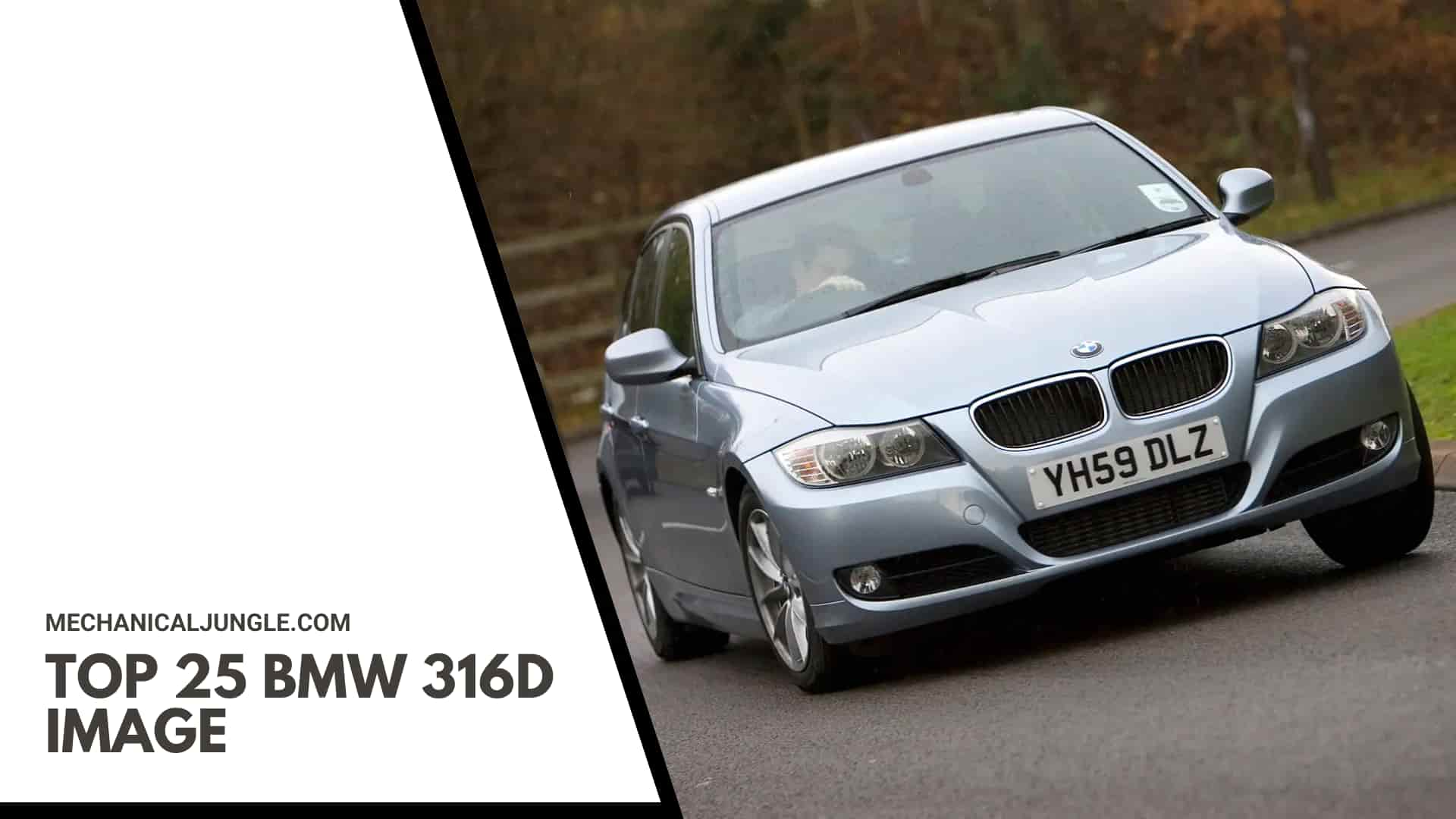 Top 25 BMW 316d Image