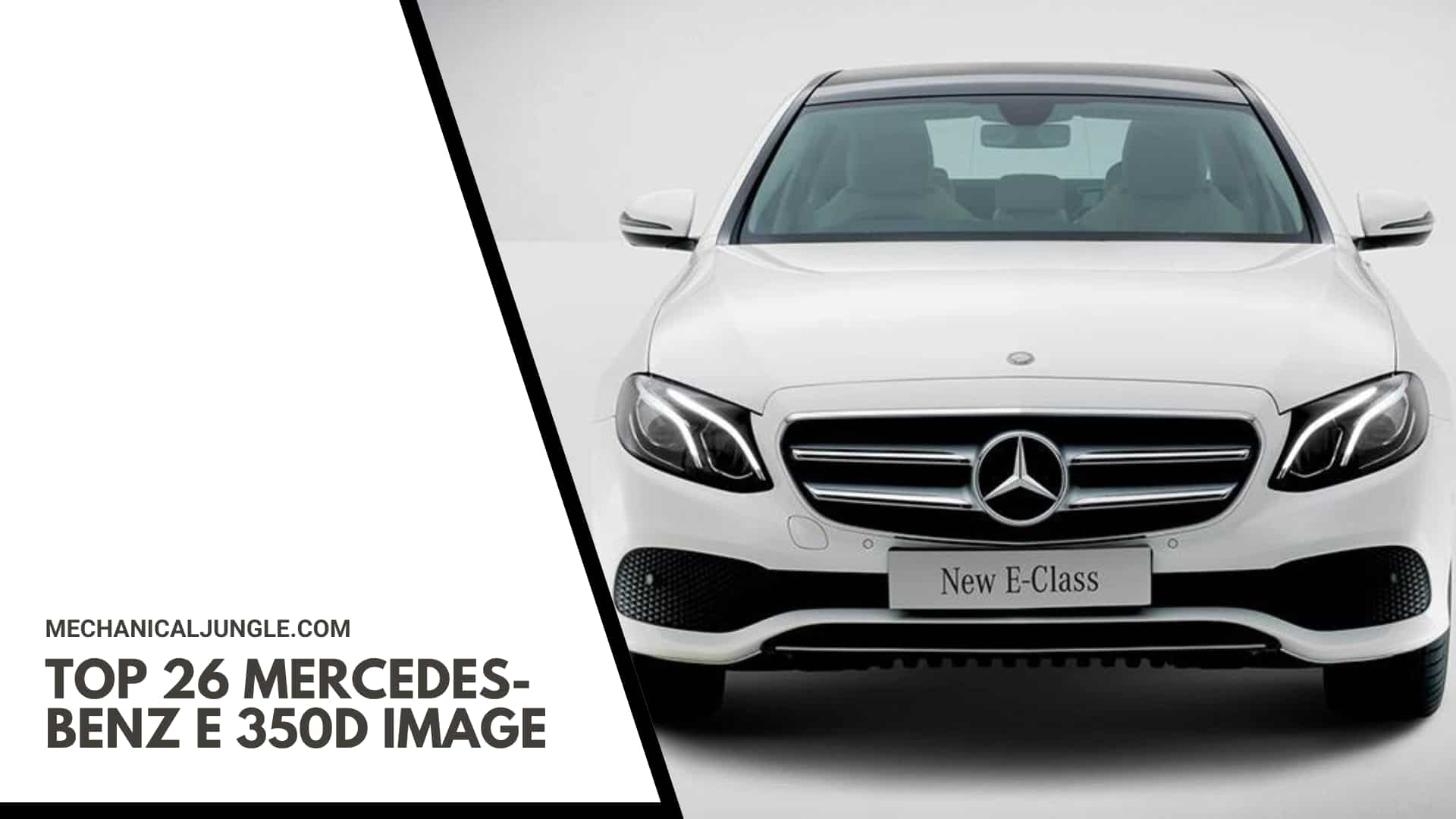 Top 26 Mercedes-Benz E 350d Image