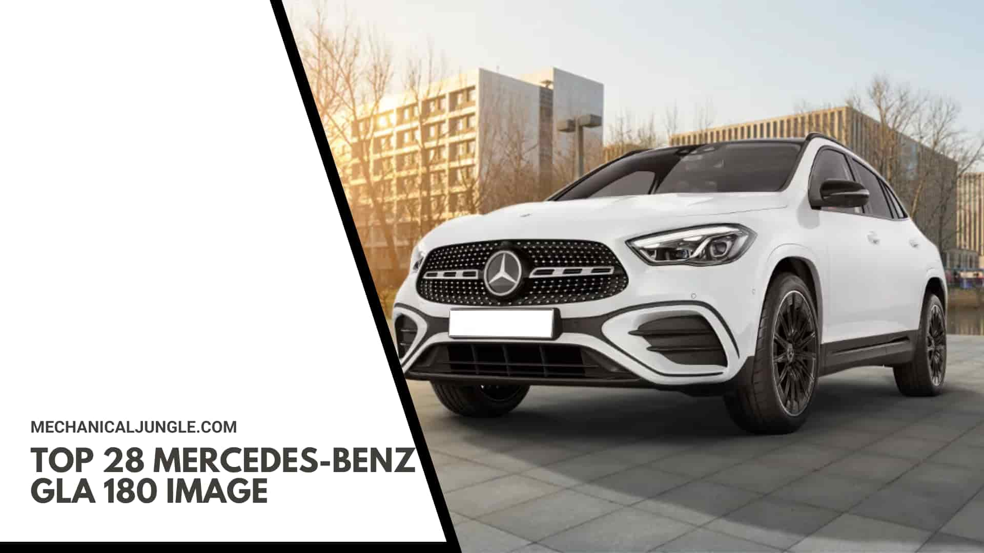 Top 28 Mercedes-Benz GLA 180 Image