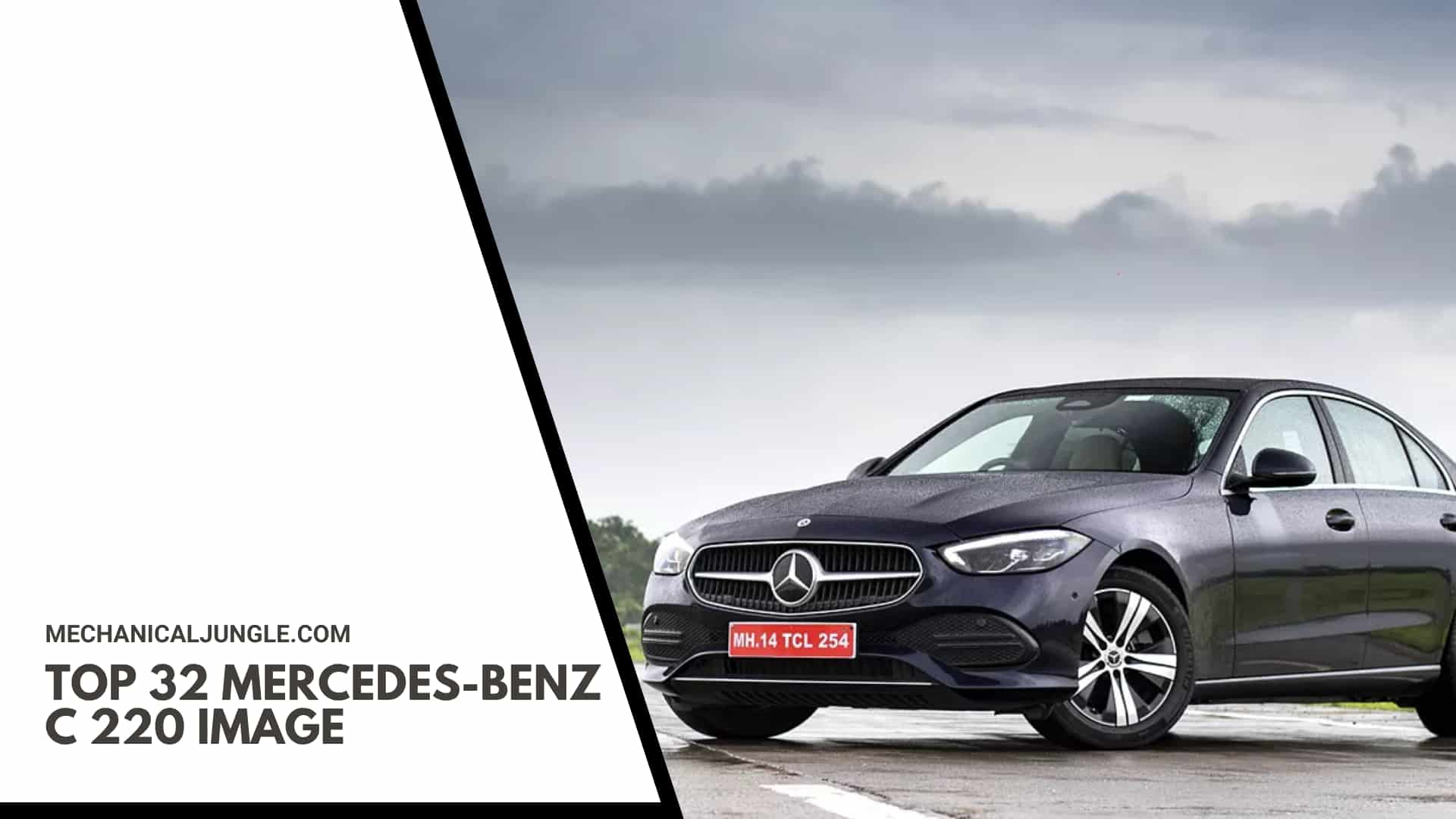 Top 32 Mercedes-Benz C 220 Image