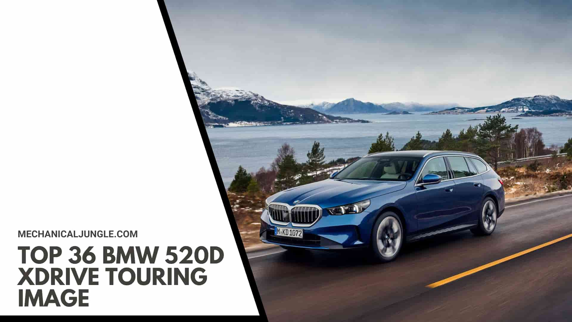 Top 36 BMW 520d xDrive Touring Image