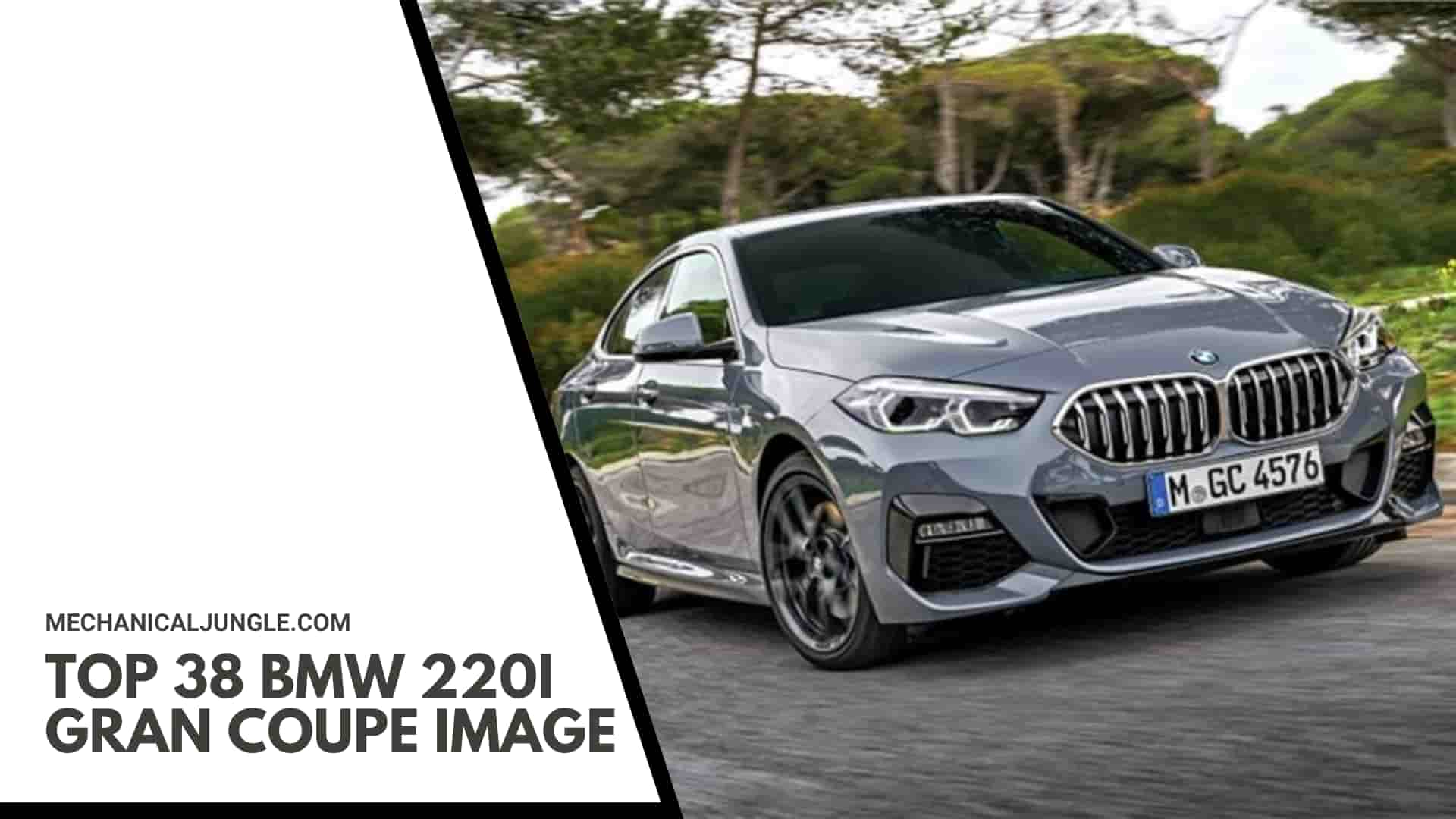 Top 38 BMW 220i Gran Coupe Image