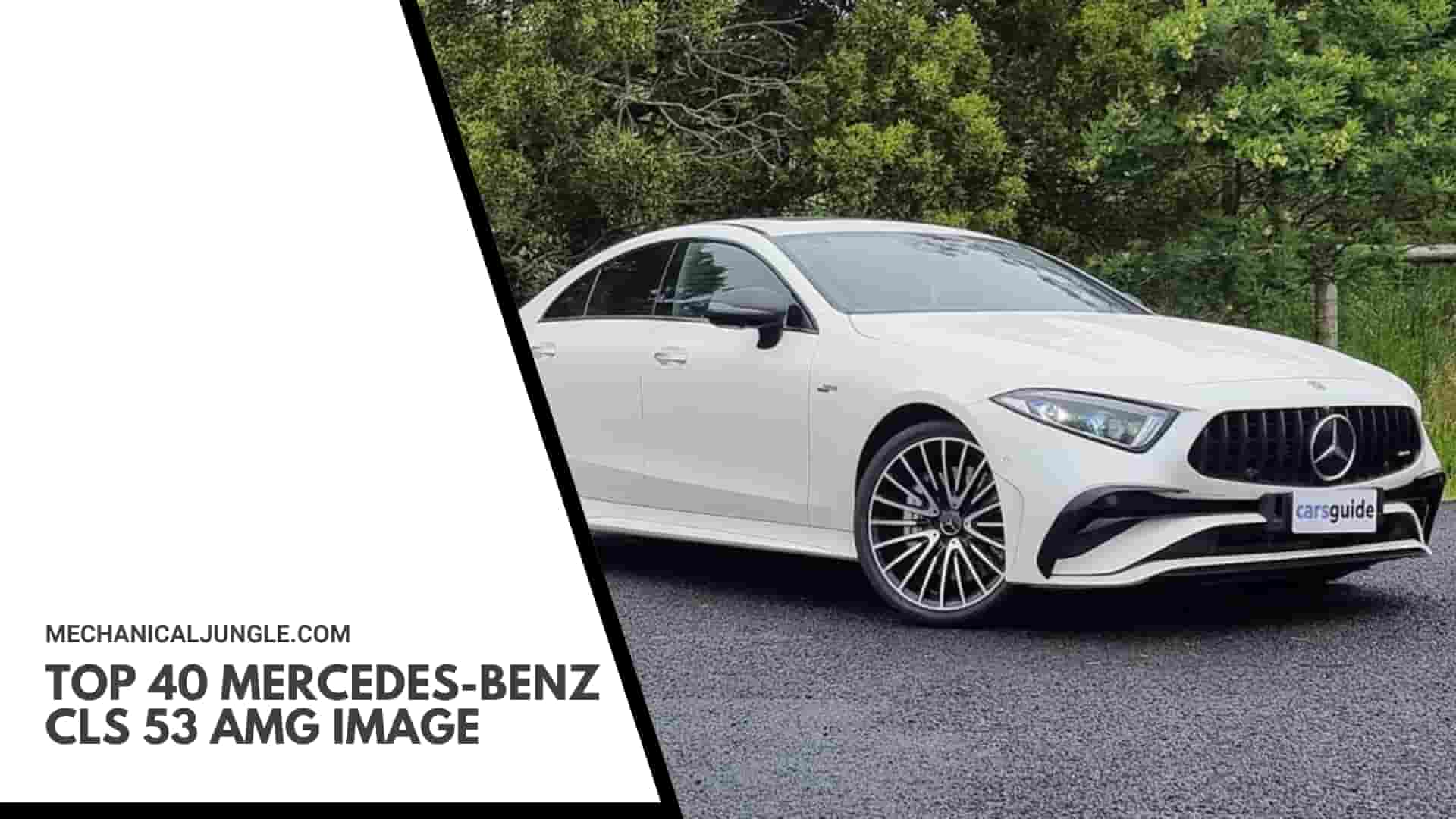 Top 40 Mercedes-Benz CLS 53 AMG Image