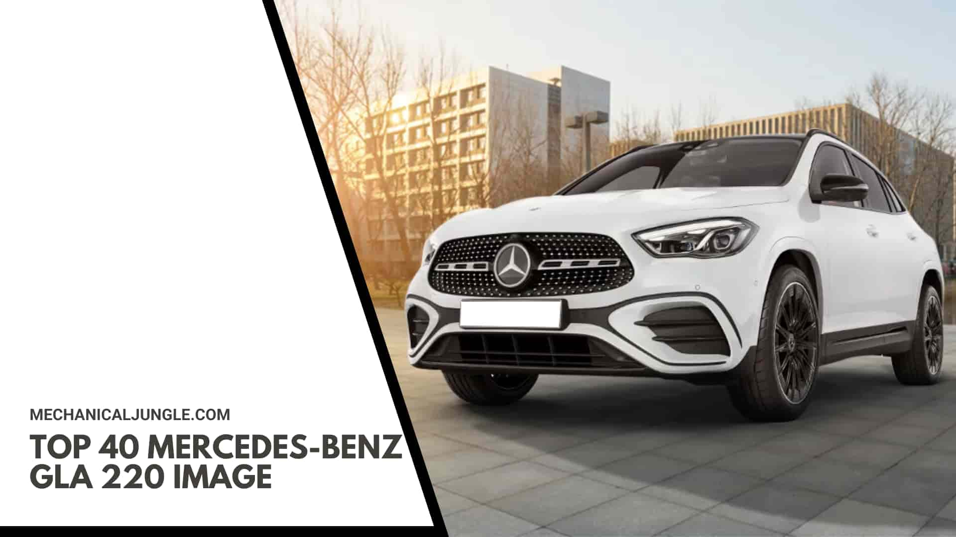 Top 40 Mercedes-Benz GLA 220 Image