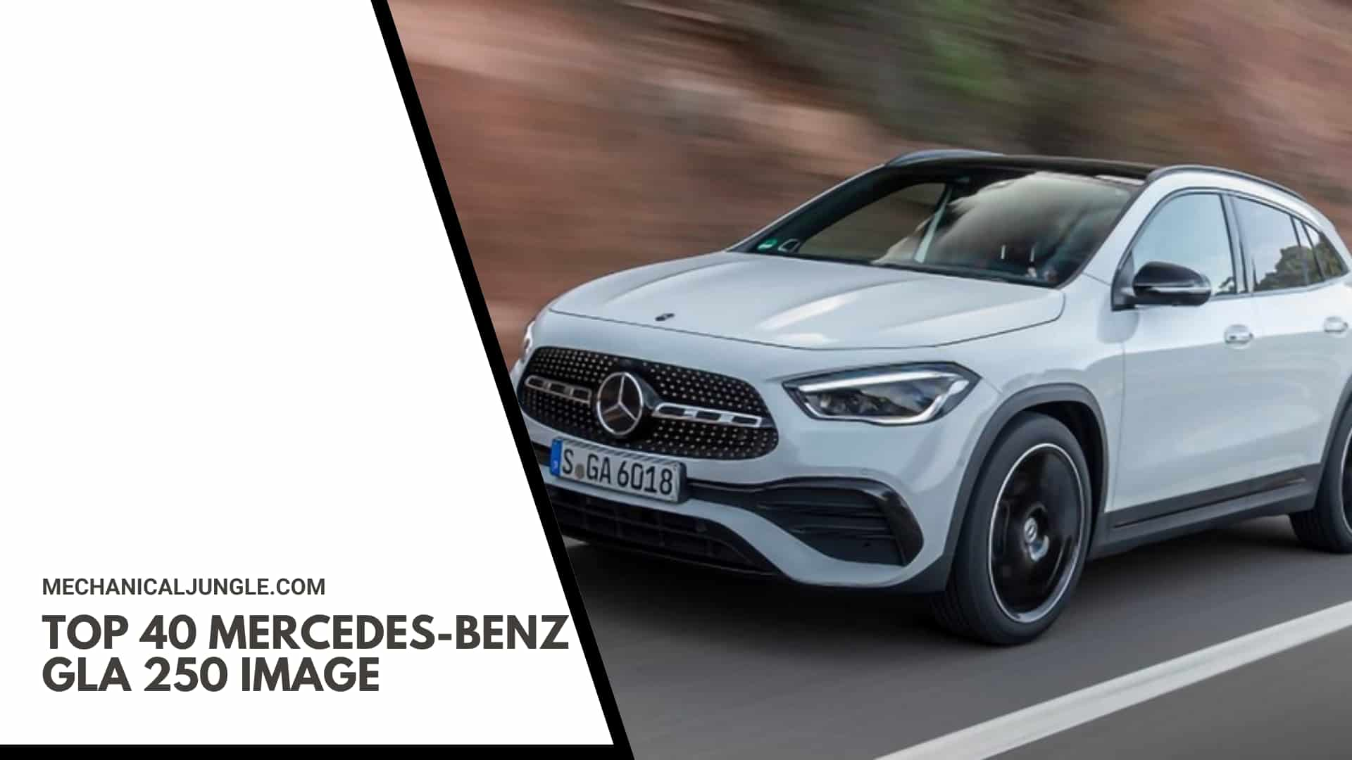 Top 40 Mercedes-Benz GLA 250 Image