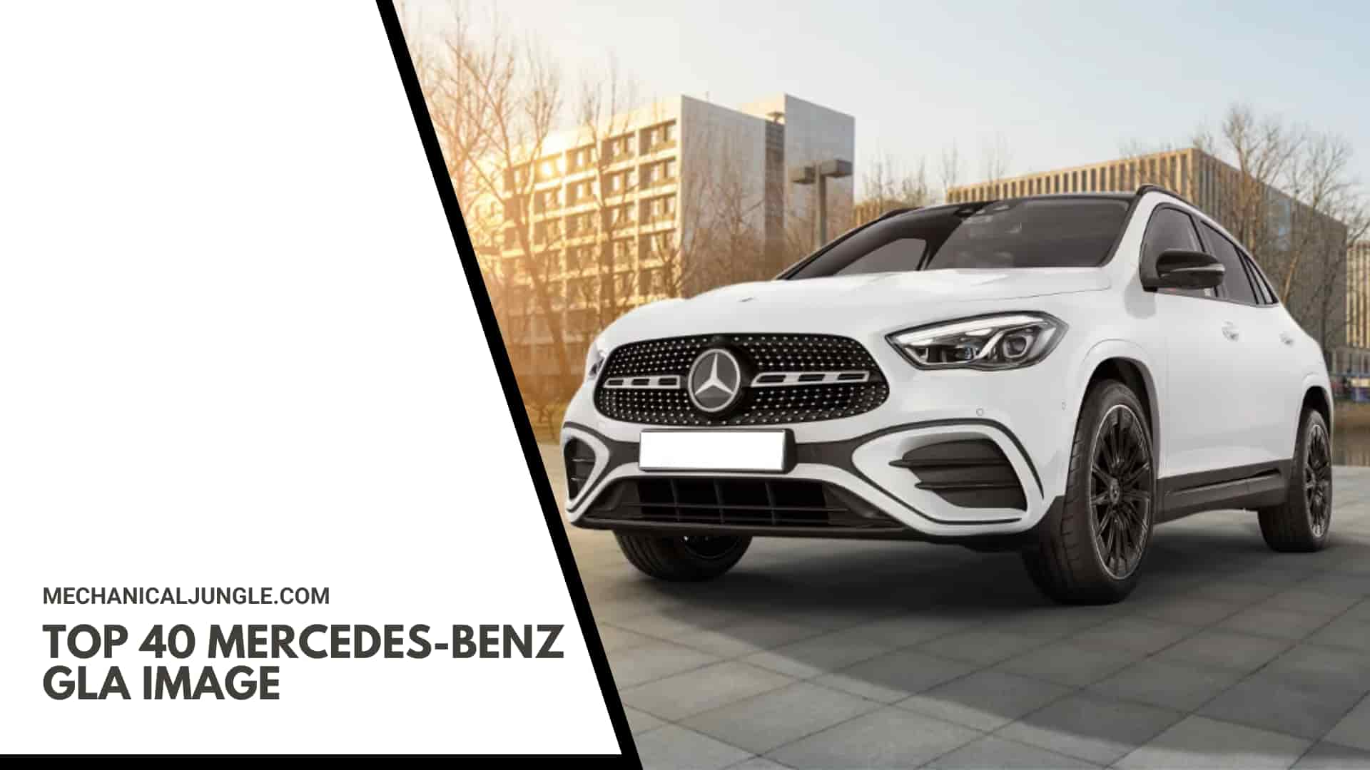 Top 40 Mercedes-Benz GLA Image