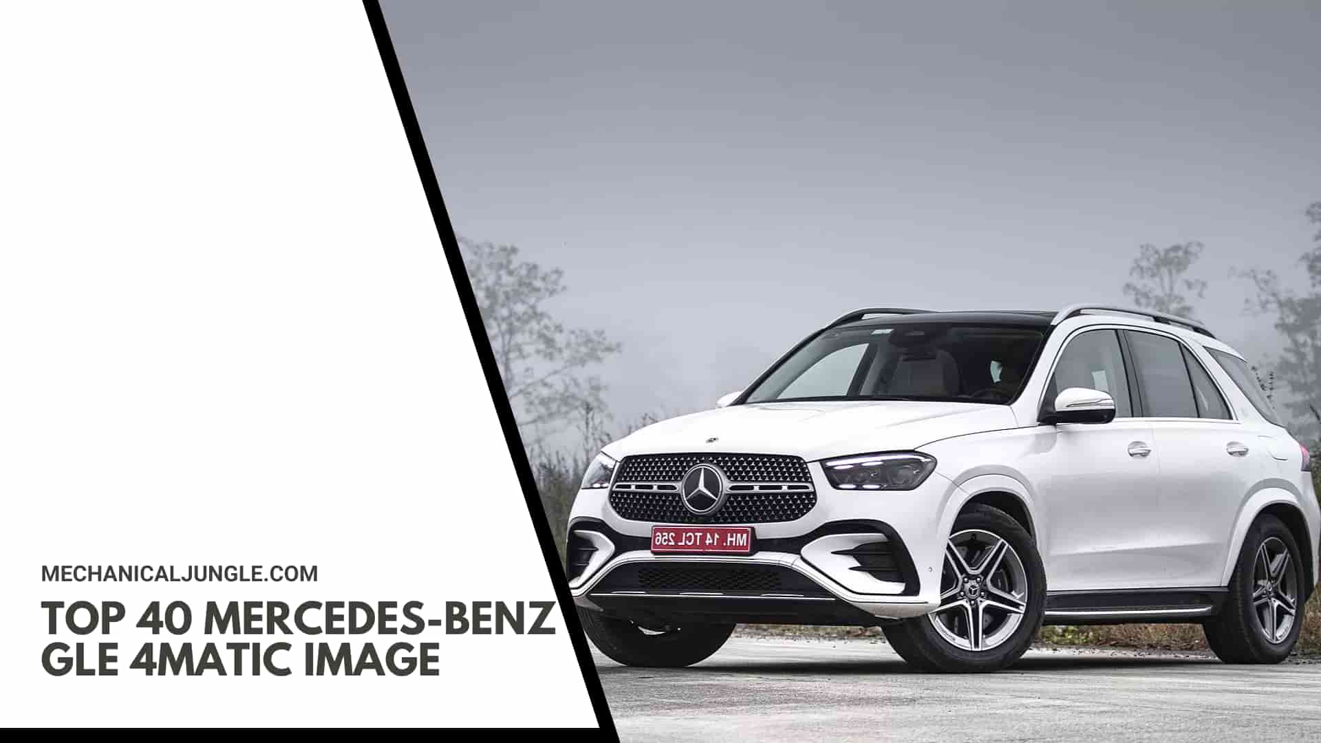 Top 40 Mercedes-Benz GLE 4MATIC Image