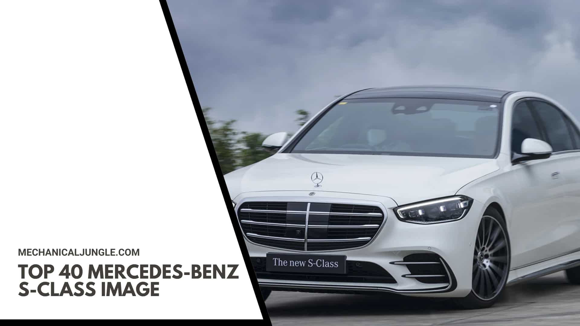 Top 40 Mercedes-Benz S-Class Image