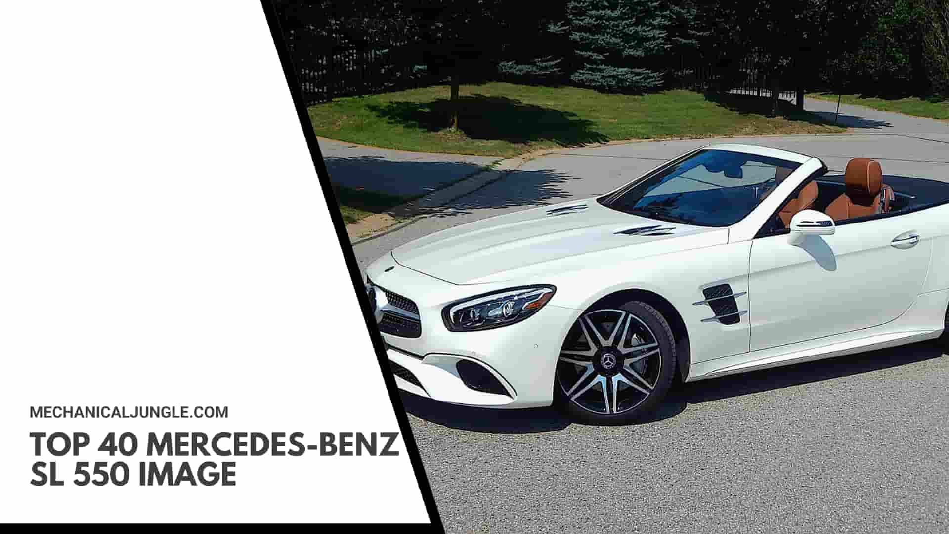 Top 40 Mercedes-Benz SL 550 Image