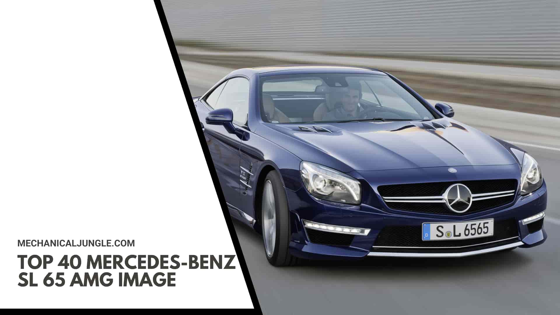 Top 40 Mercedes-Benz SL 65 AMG Image