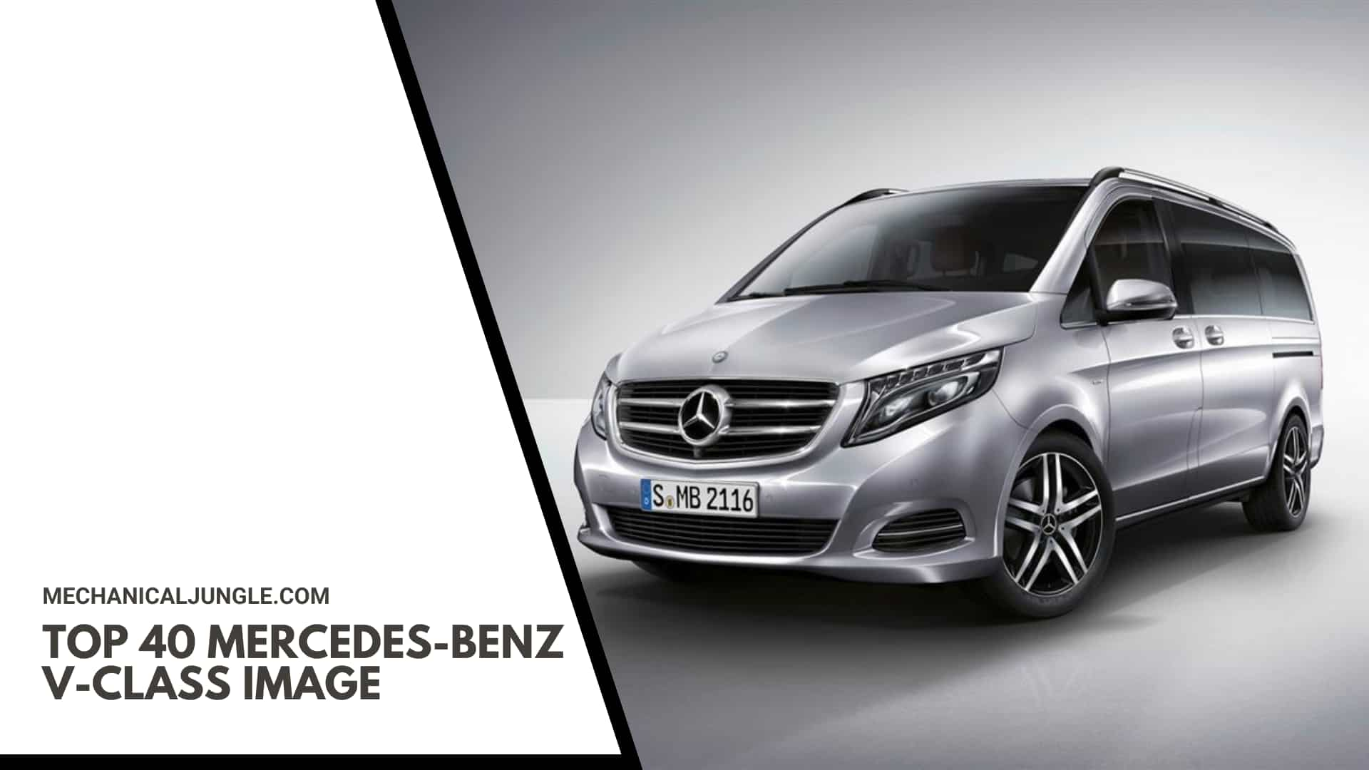 Top 40 Mercedes-Benz V-Class Image