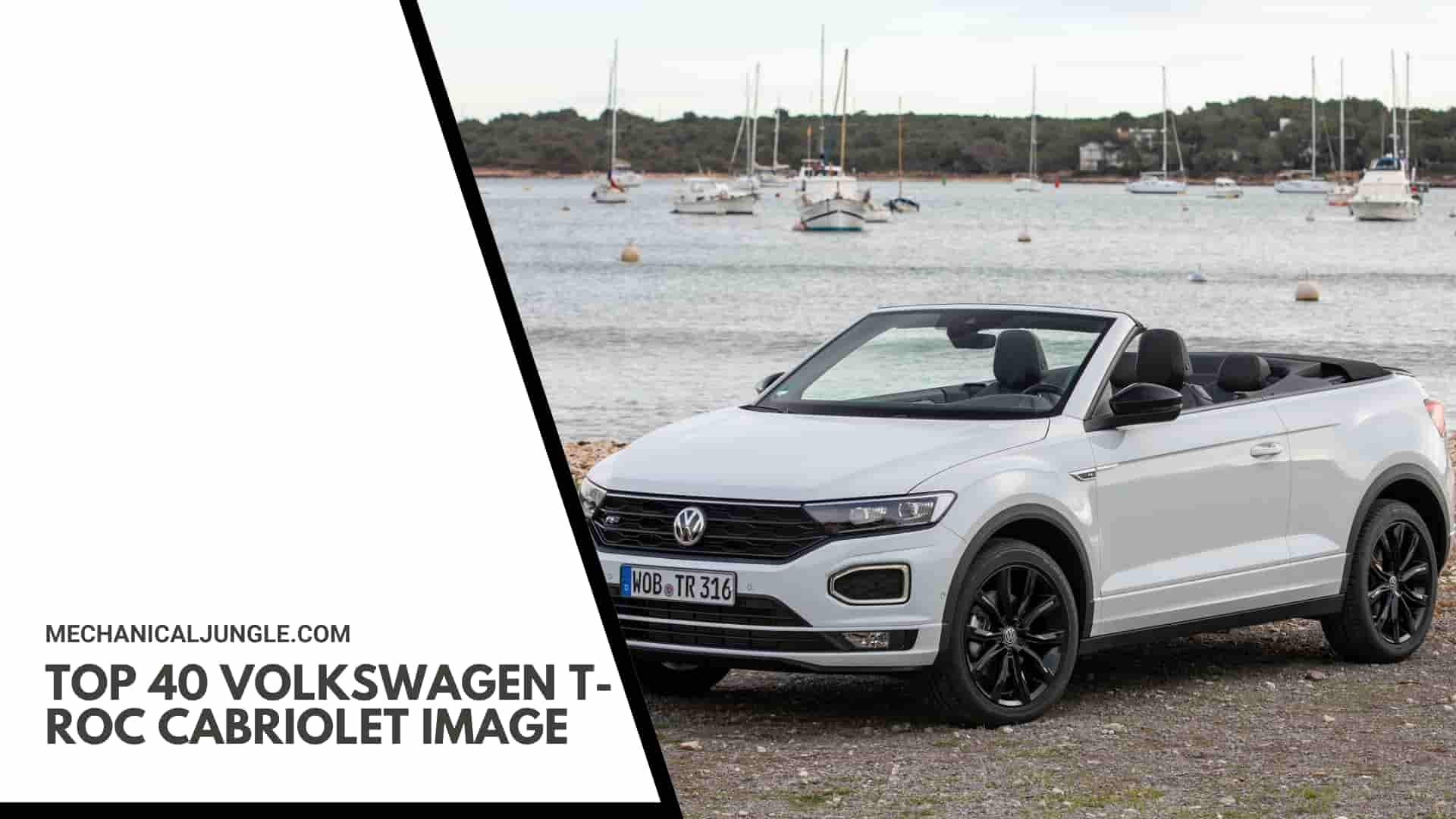 Top 40 Volkswagen T-Roc Cabriolet Image