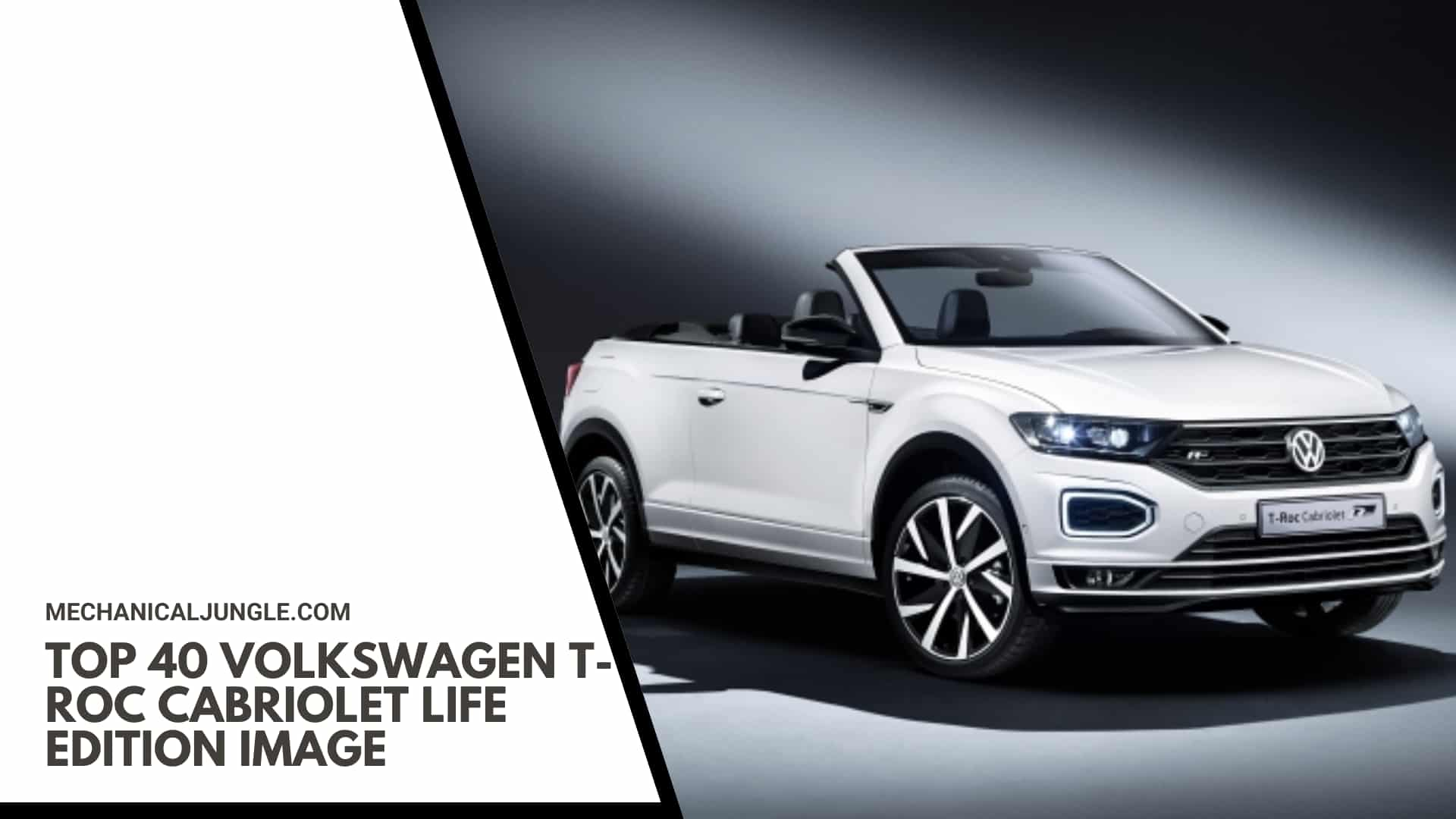 Top 40 Volkswagen T-Roc Cabriolet Life Edition Image