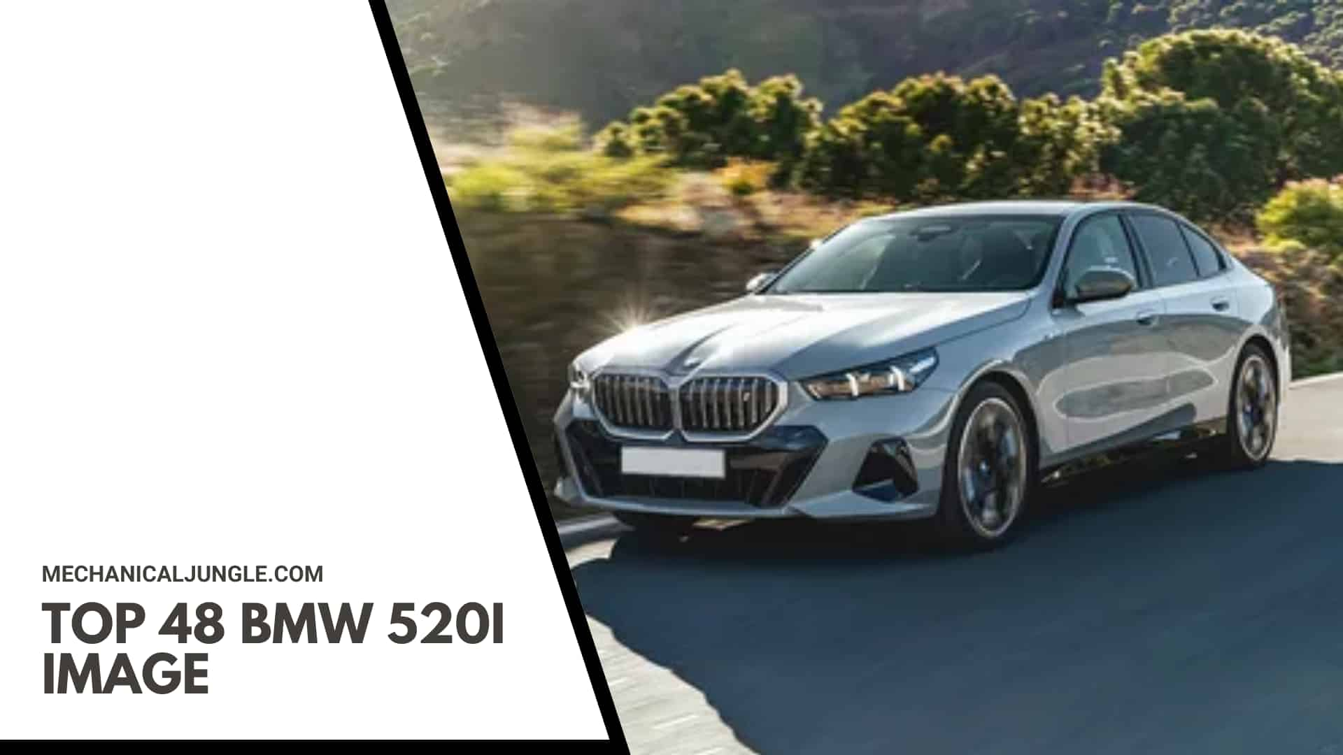 Top 48 BMW 520i Image