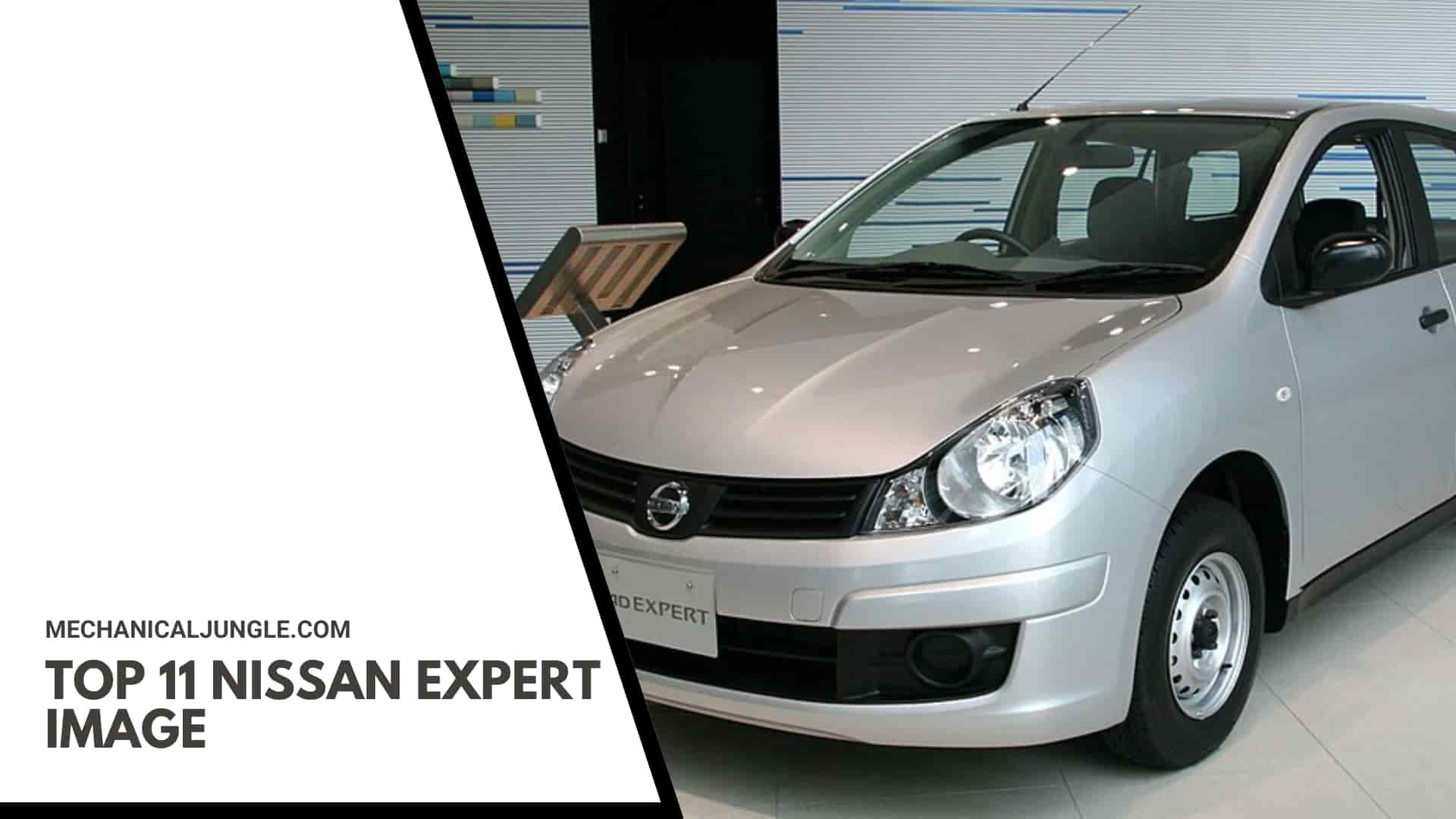 Top 11 Nissan Expert Image