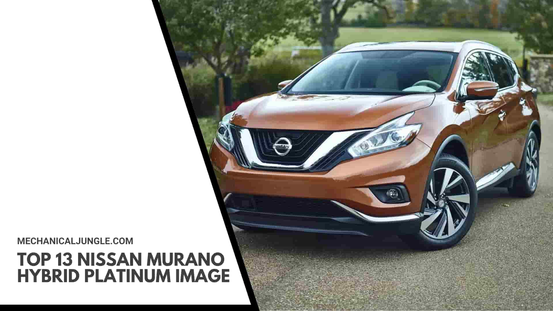 Top 13 Nissan Murano Hybrid Platinum Image