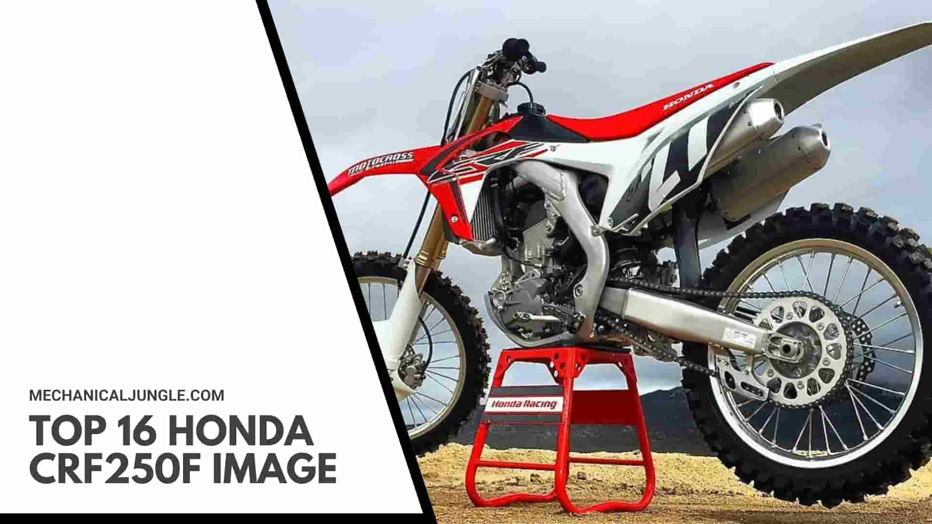 Top 16 Honda CRF250F Image