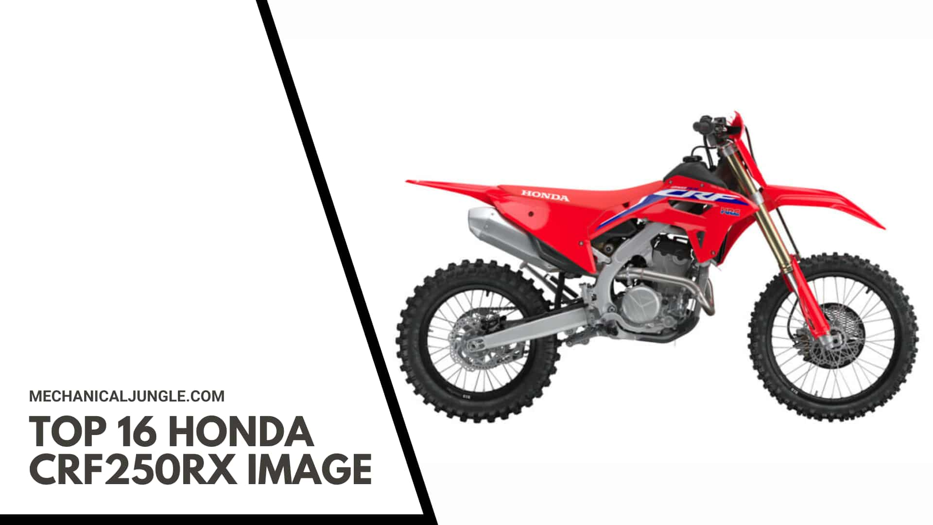 Top 16 Honda CRF250RX Image