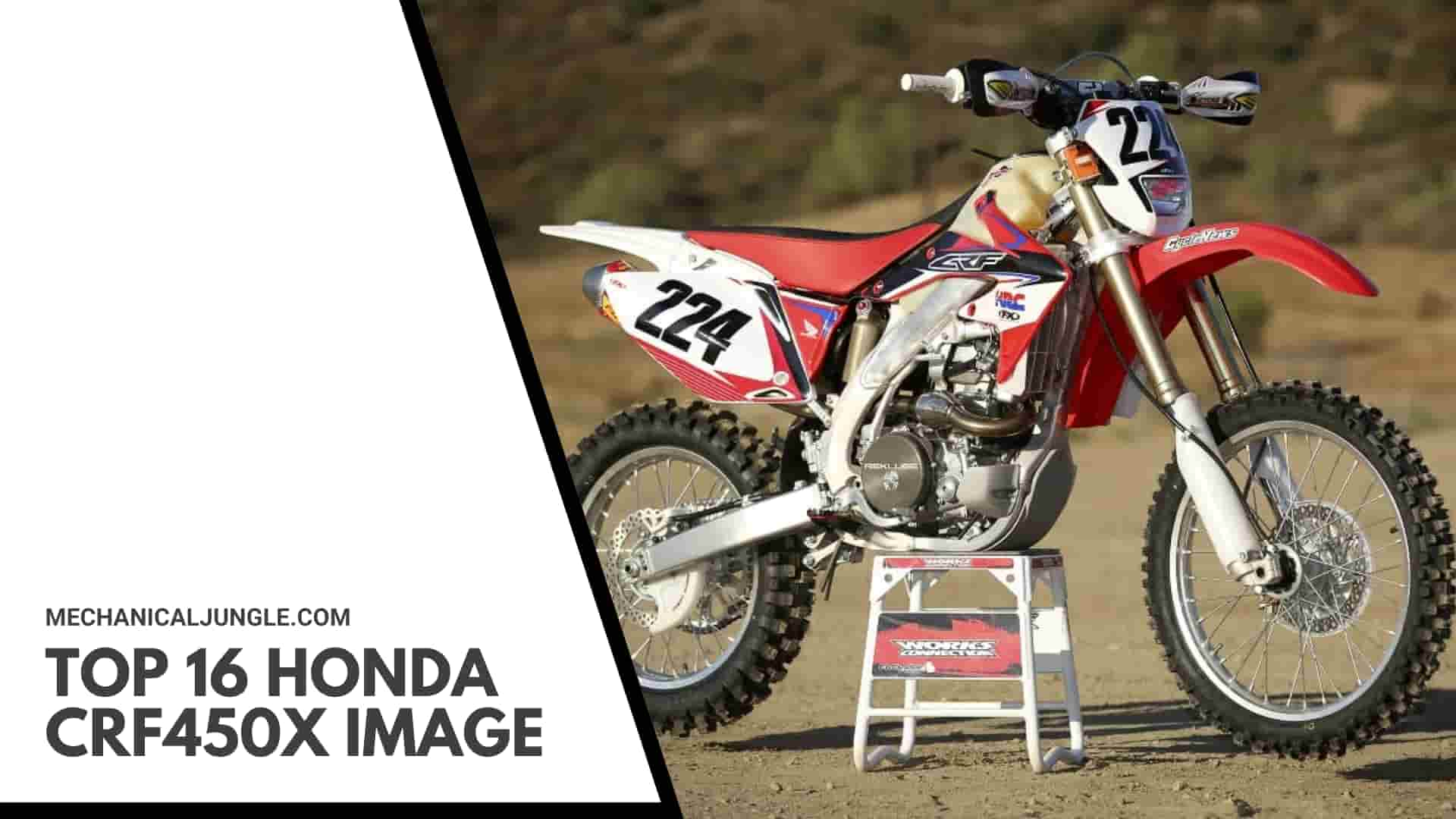 Top 16 Honda CRF450X Image