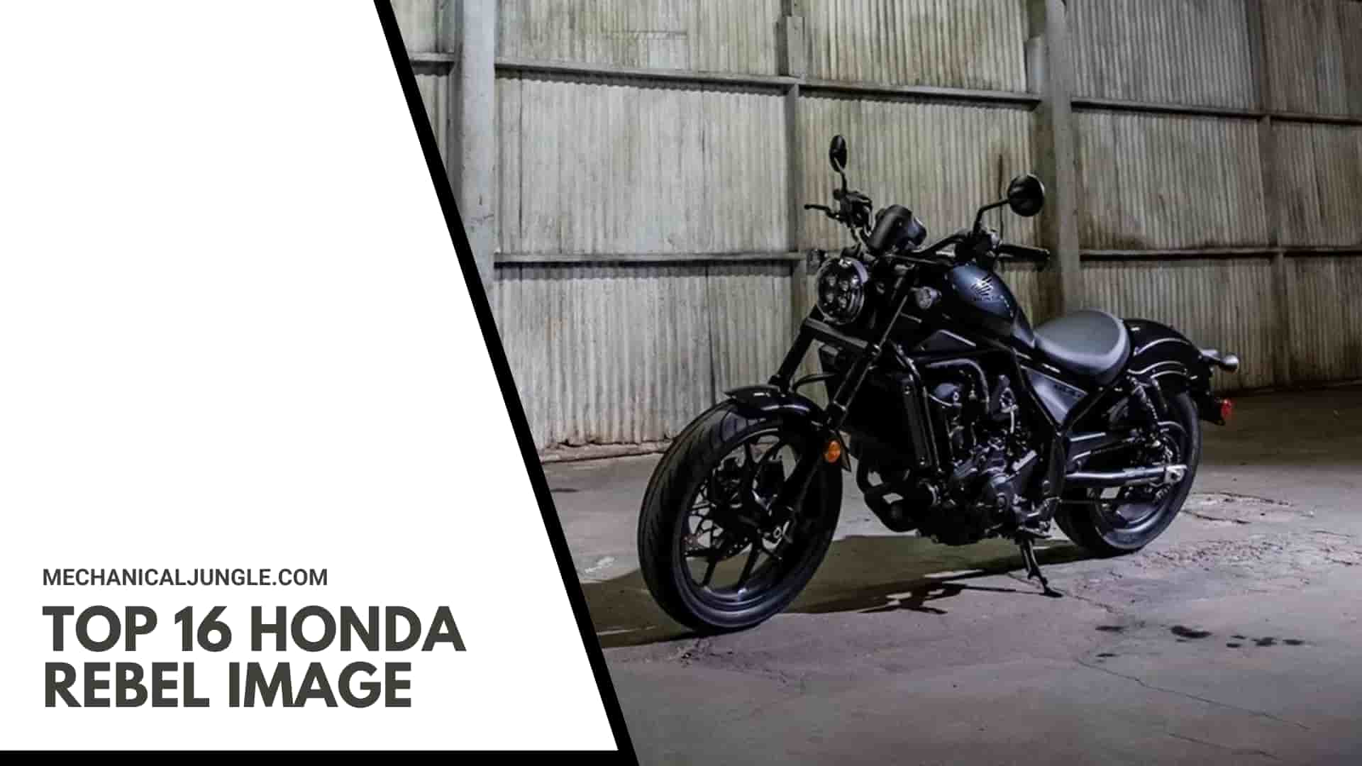 Top 16 Honda Rebel Image