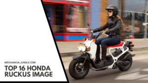 Top 16 Honda Ruckus Image