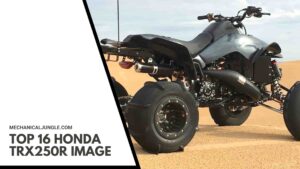 Top 16 Honda TRX250R Image