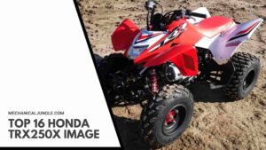 Top 16 Honda TRX250X Image