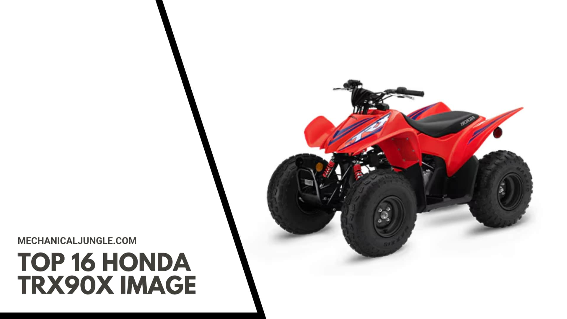 Top 16 Honda TRX90X Image