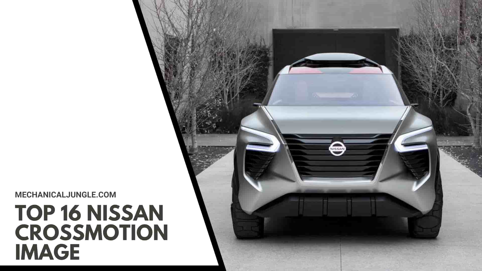 Top 16 Nissan CrossMotion Image