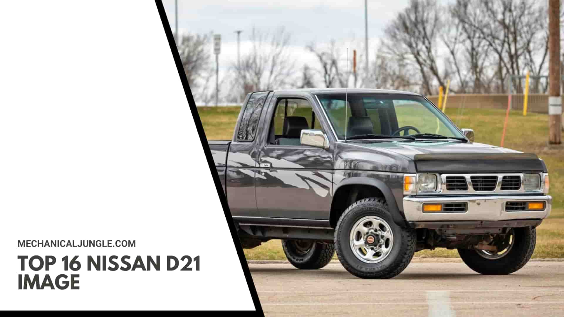 Top 16 Nissan D21 Image