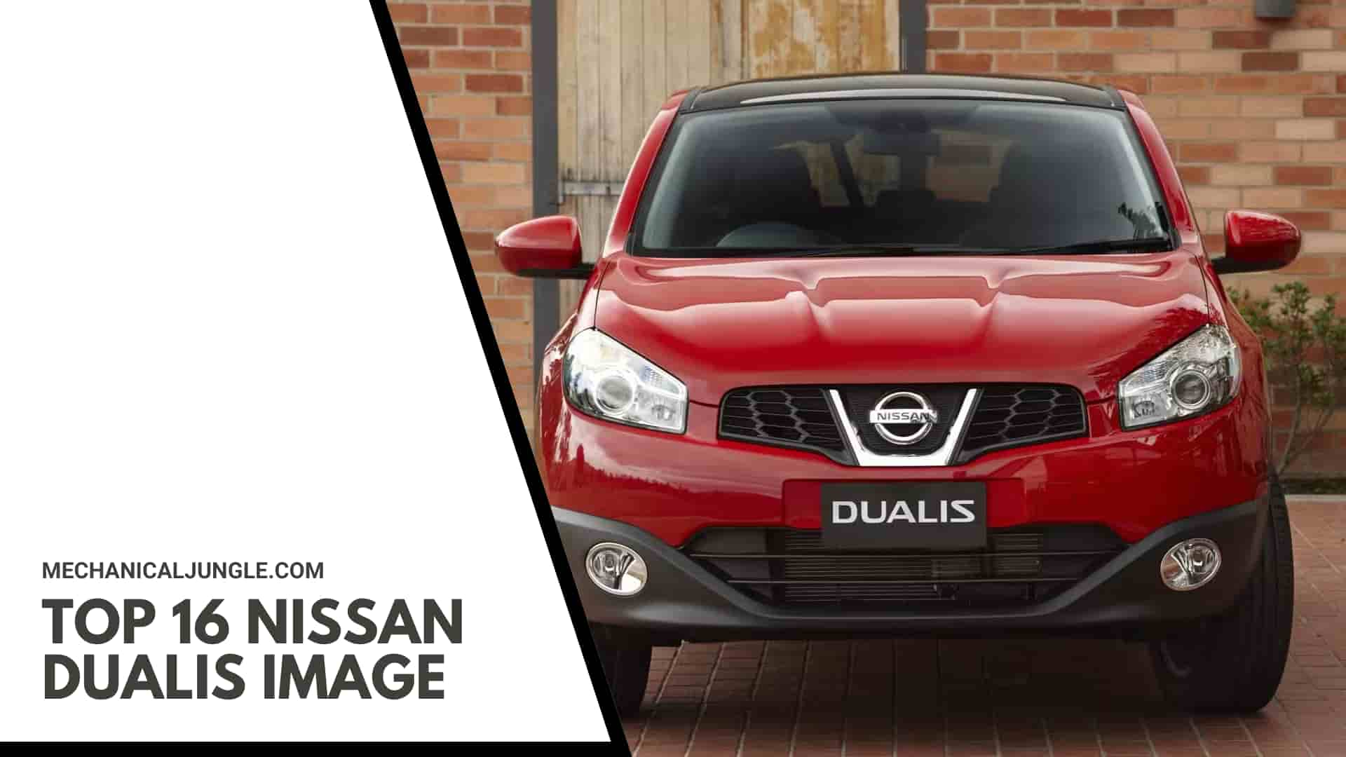 Top 16 Nissan Dualis Image