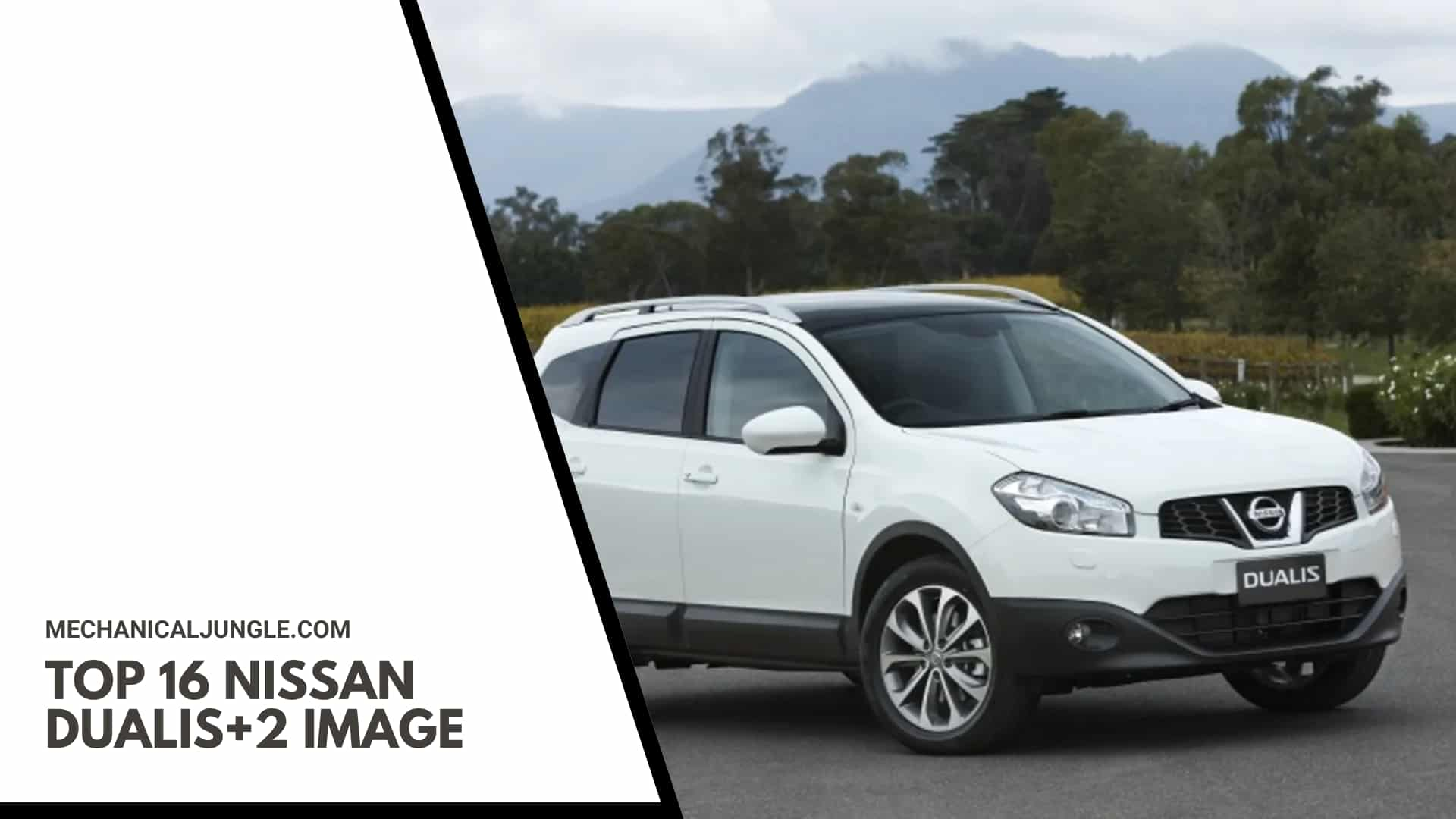 Top 16 Nissan Dualis+2 Image