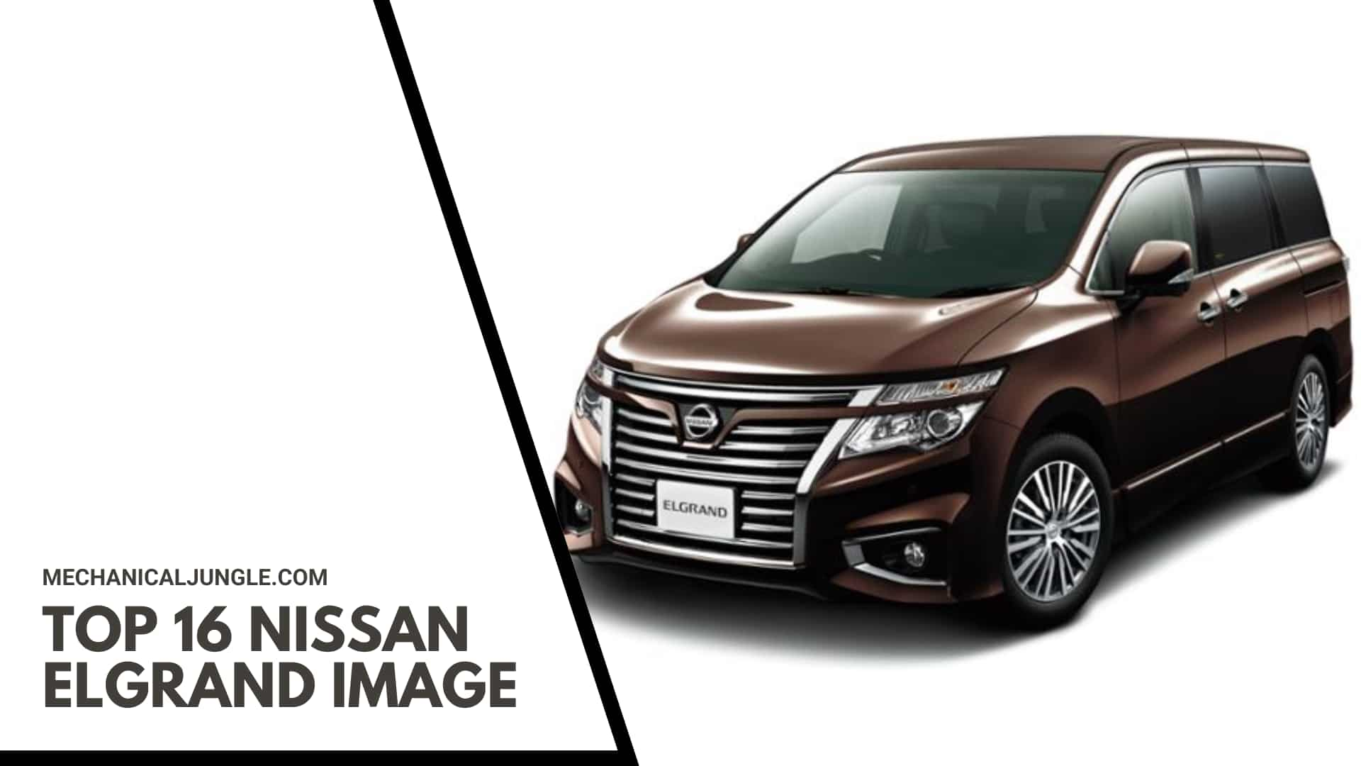 Top 16 Nissan Elgrand Image