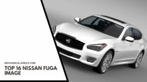 Top 16 Nissan Fuga Image